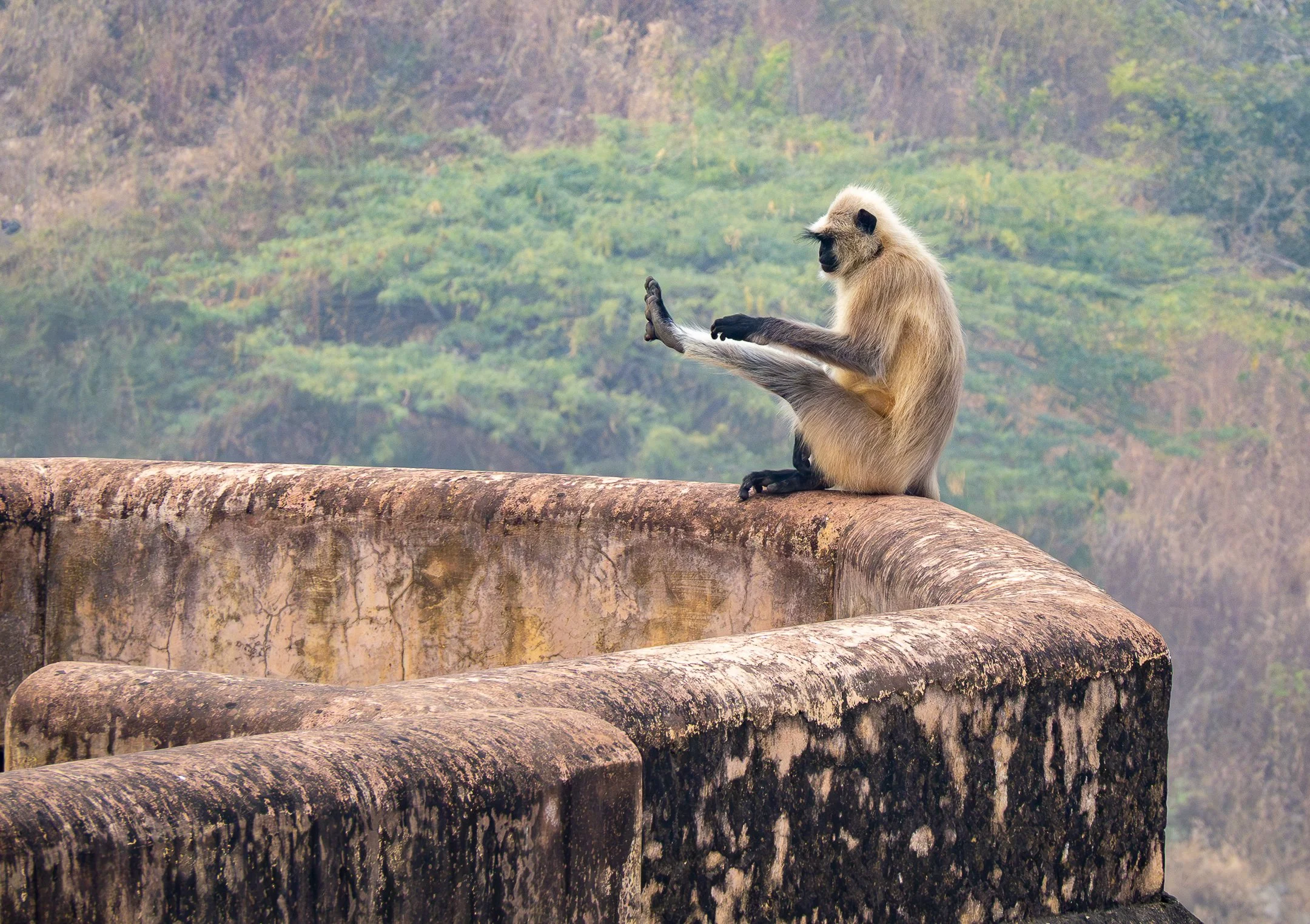 O | India Stretching | Kathy Kendall | Score: 21
