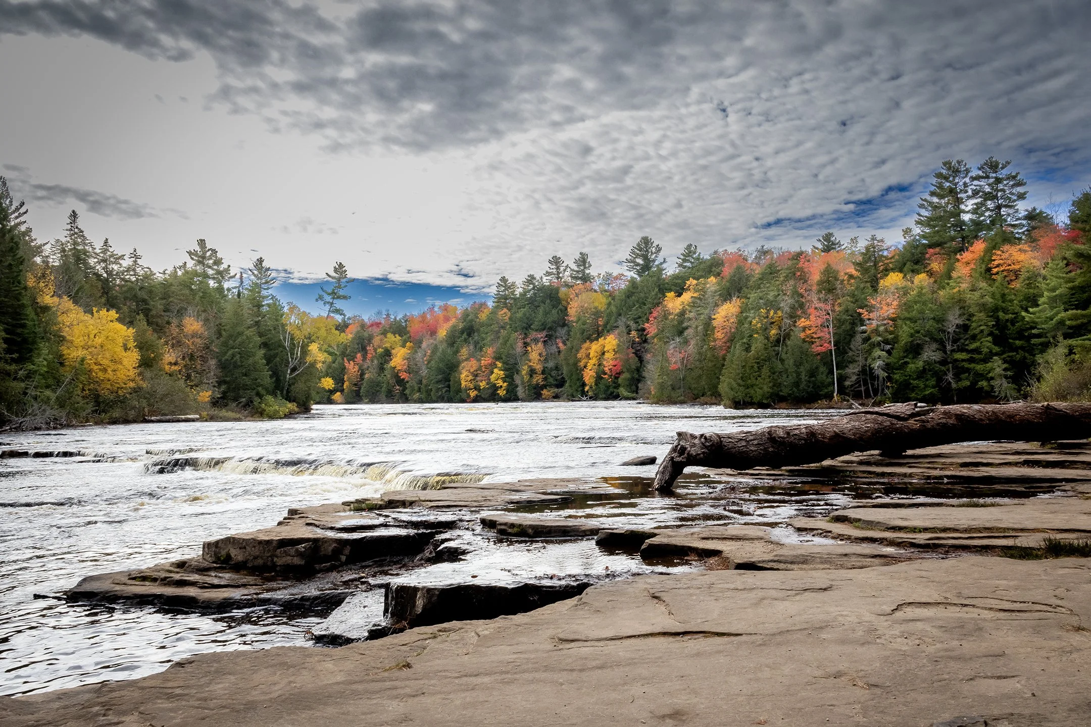 S | Tahquamenon River in Fall | Shealyn McGee-Sarns | Score: 21