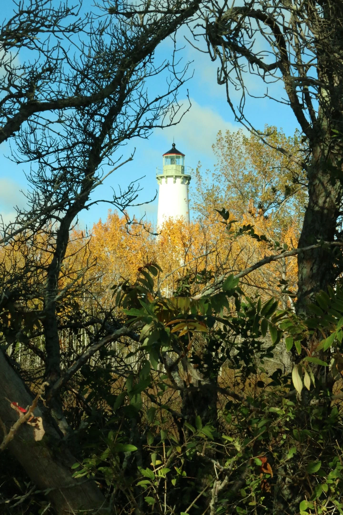 O | Tawas Point Lighthouse | Christine Mooney | Score: 17