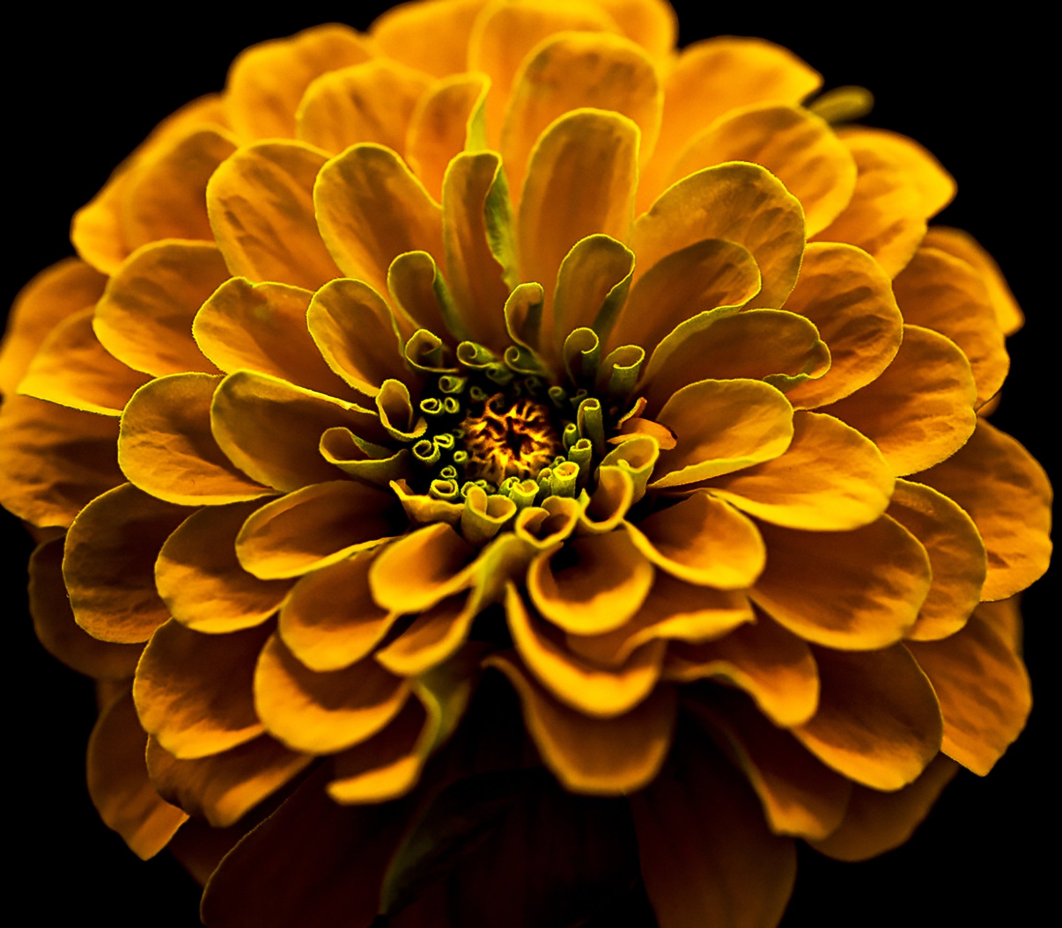 A | Synchronous Yellow | Nancy Patterson | Score: 22