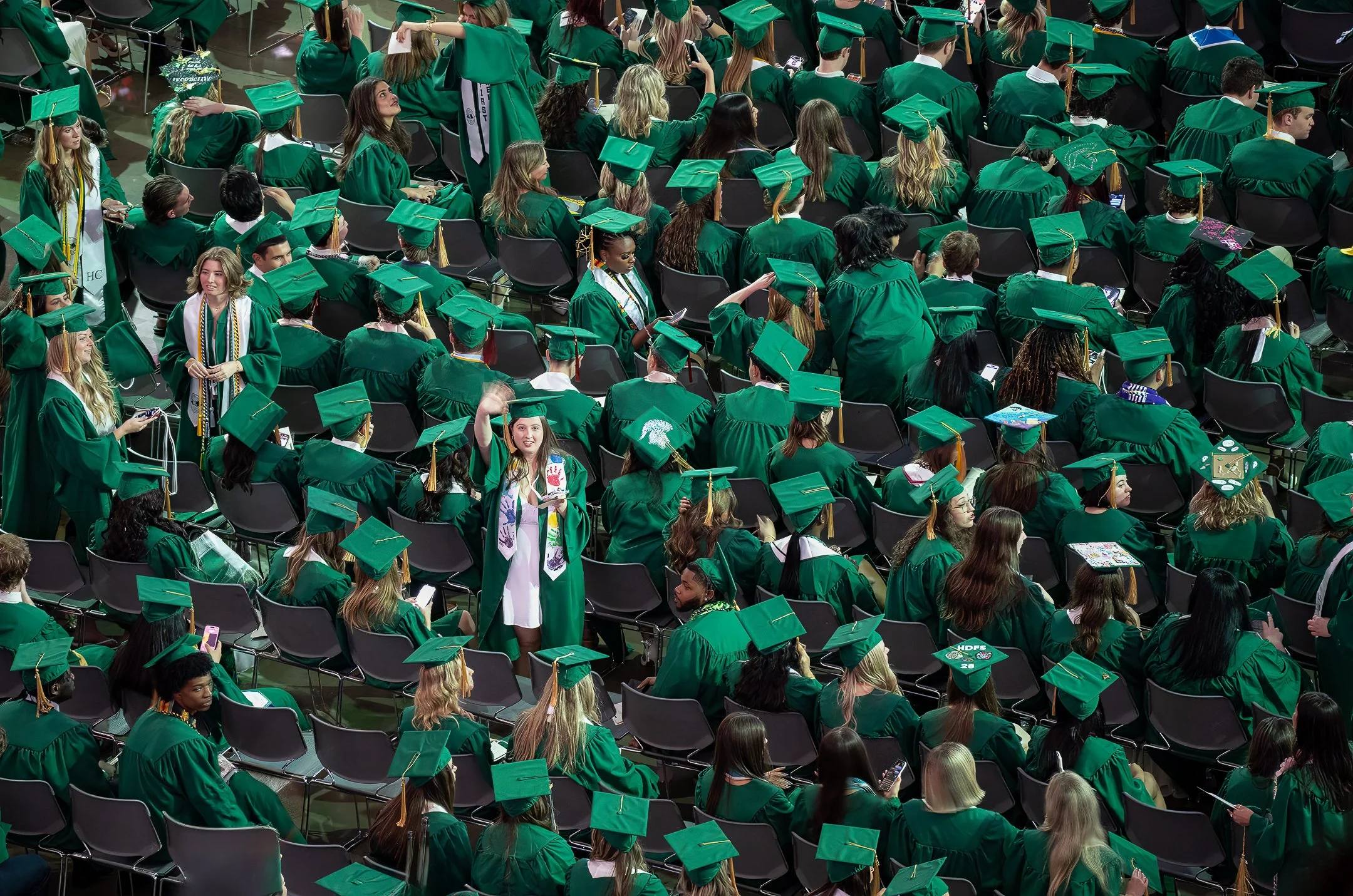 O | One in a Sea of Green | Jeanne Quillan | Score: 22