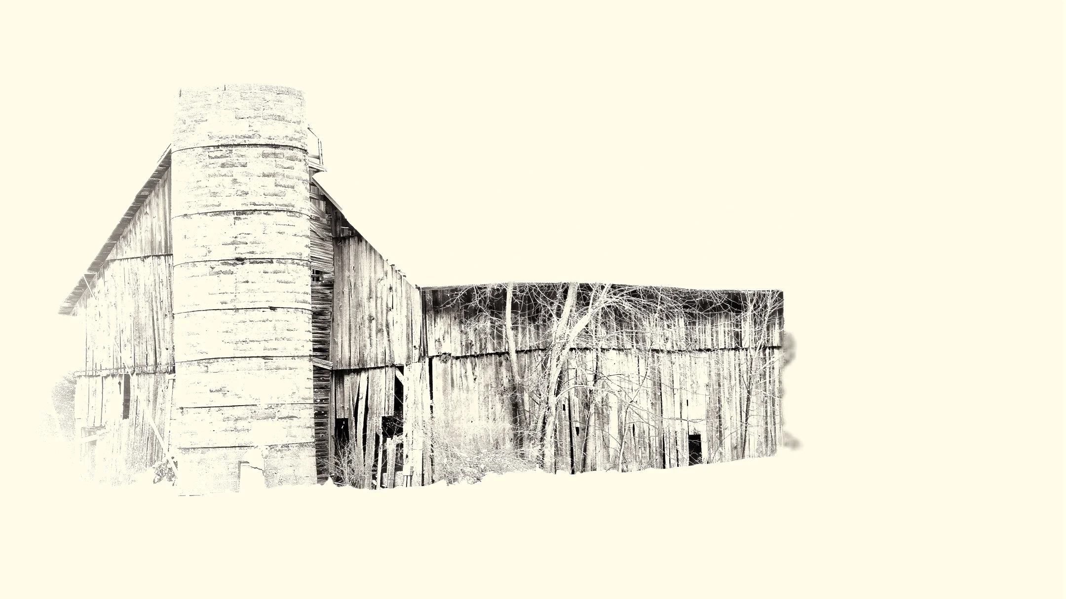 A | January White Out | Richard Coombs | Score: 19