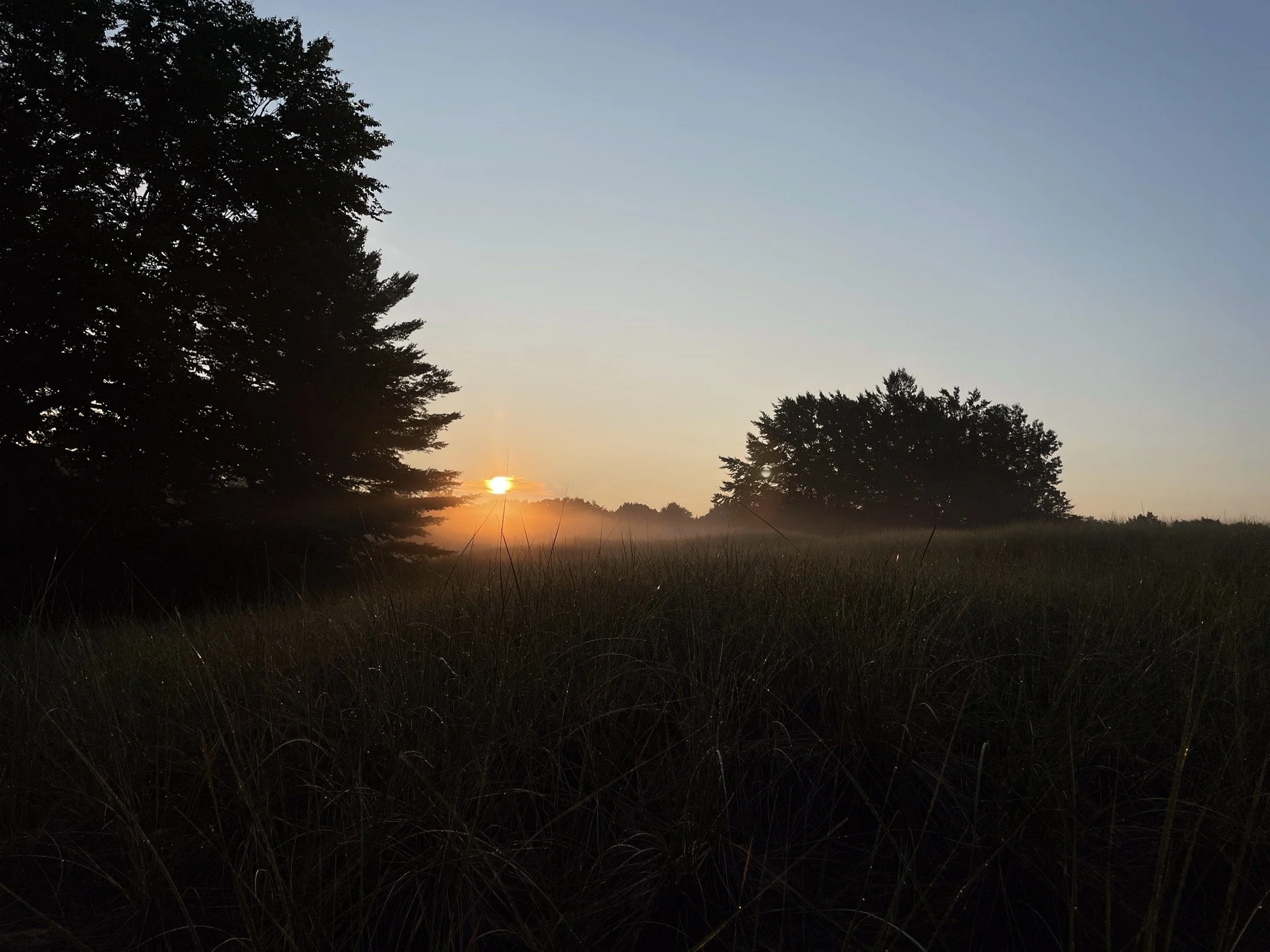 S | Sunrise2 | Todd Harbin | Score: 16