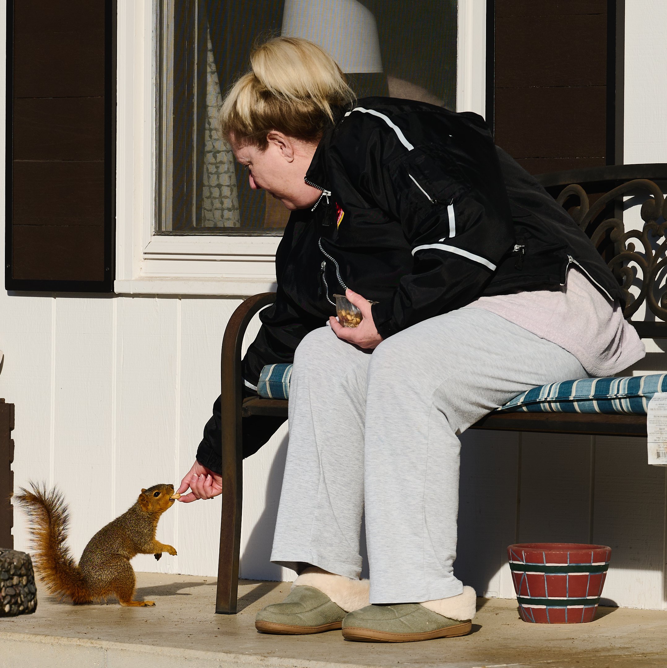 A | Snack Time With a Furry Friend | James Zeman | Score: 10