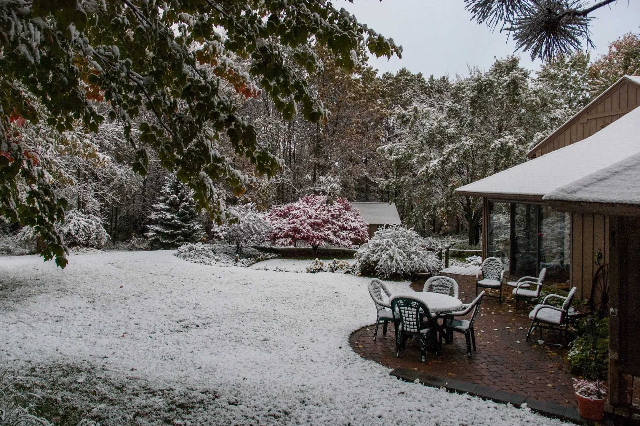 A | Early Snow | Jim Shearer | Score: 11