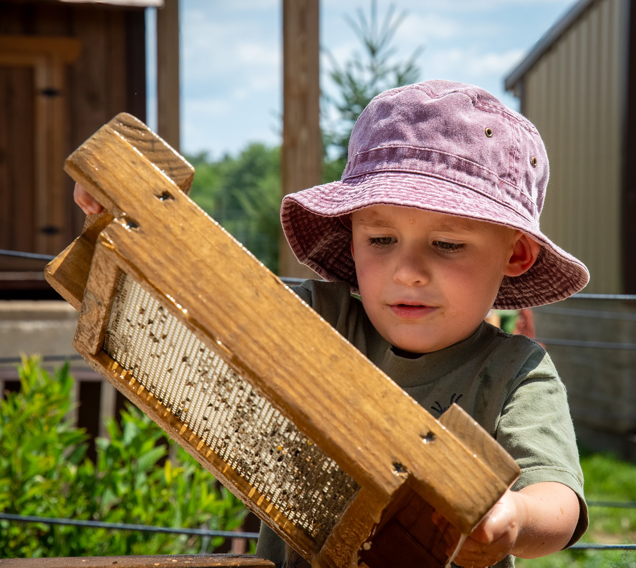 O | This is Cool | Jim Shearer Jr. | Score: 18