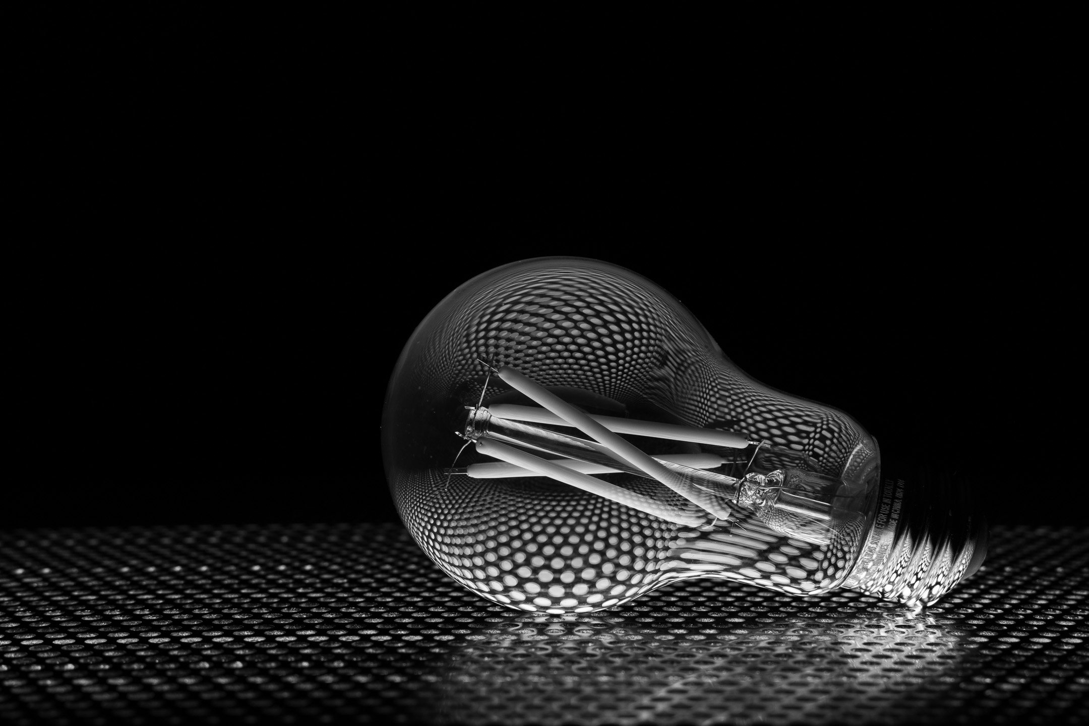 M | Bulb Relections | Jan Lewis | Score: 23