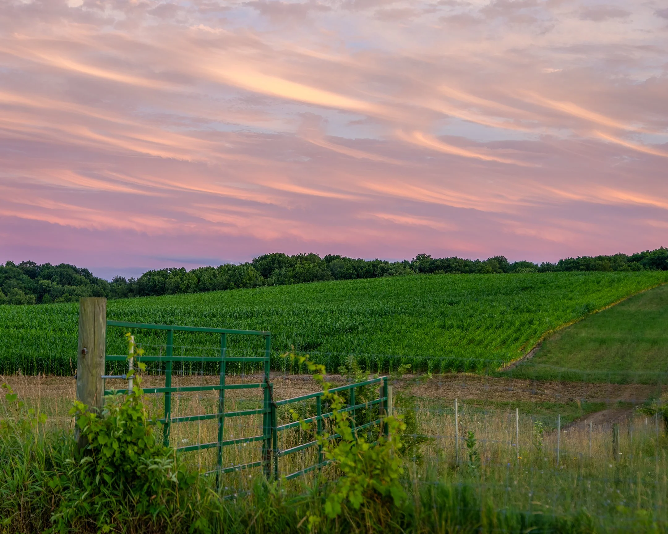 S | Stunning Sky | Rebecca Humes | Score: 19