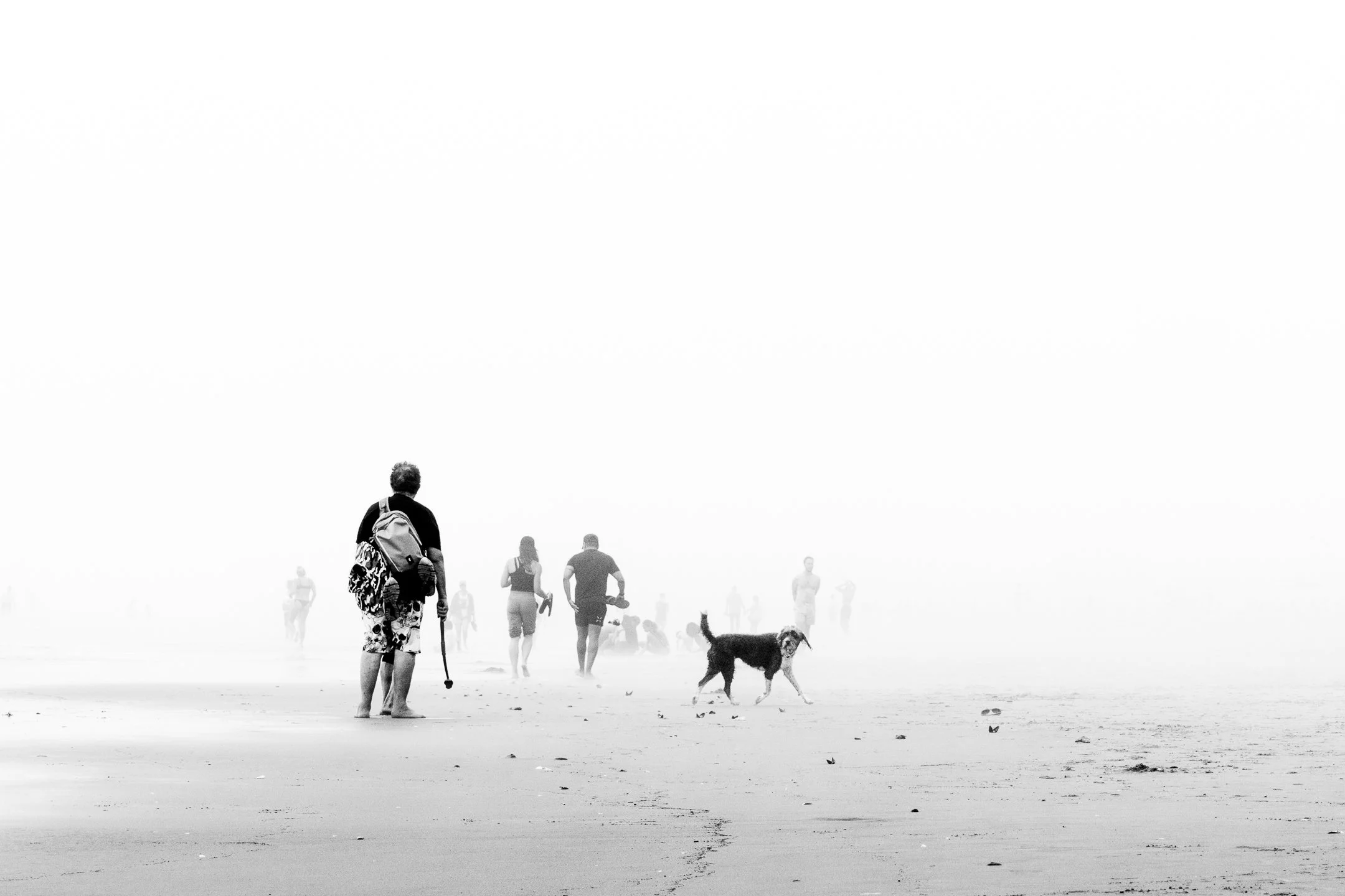 A | Afternoon Fog | Norbert Kugele | Score: 19