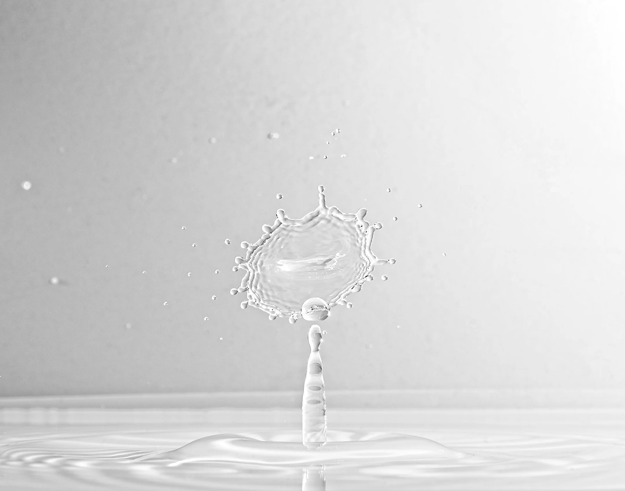 M | Splashdown | Michael Koole | Score: 17
