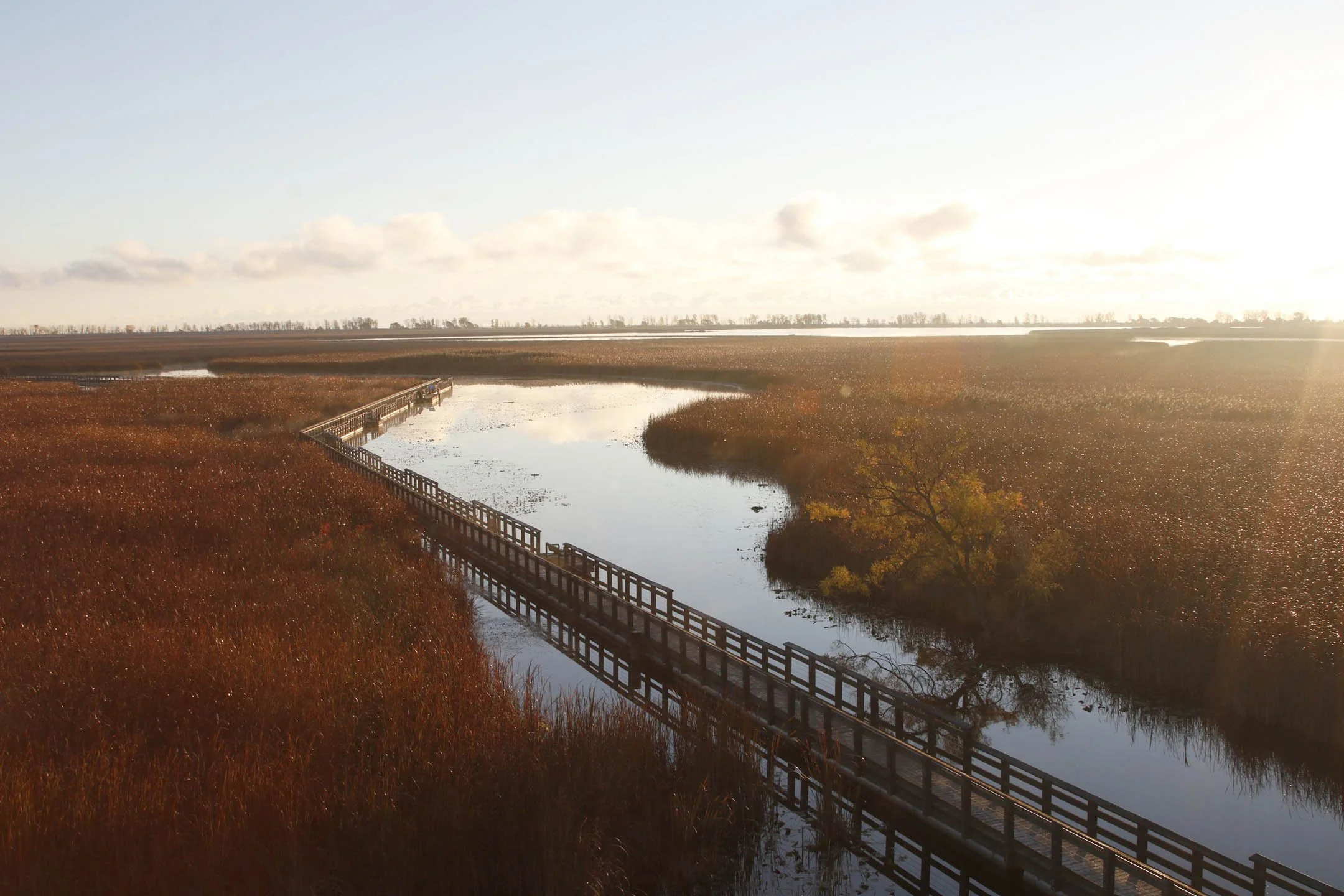 A | Point Pelee | Michelle Premer | Score: 17