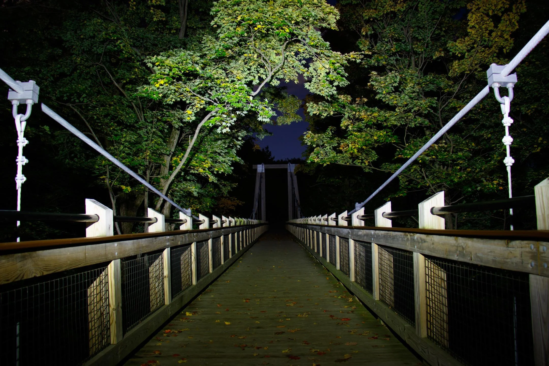A | Footbridge | Mike Bergeon | Score: 18