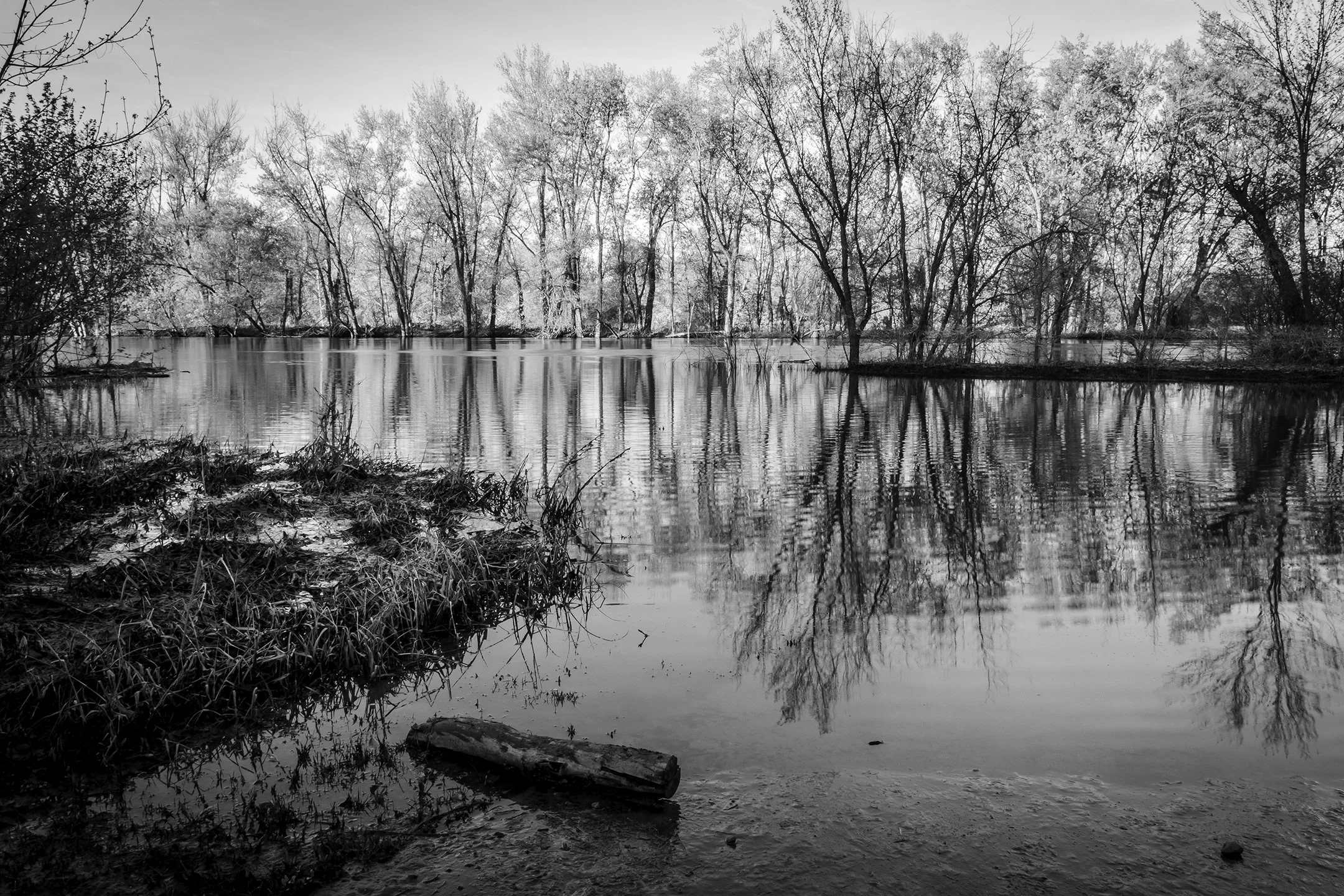 M | Grand River Flooding | Shealyn McGee-Sarns | Score: 18