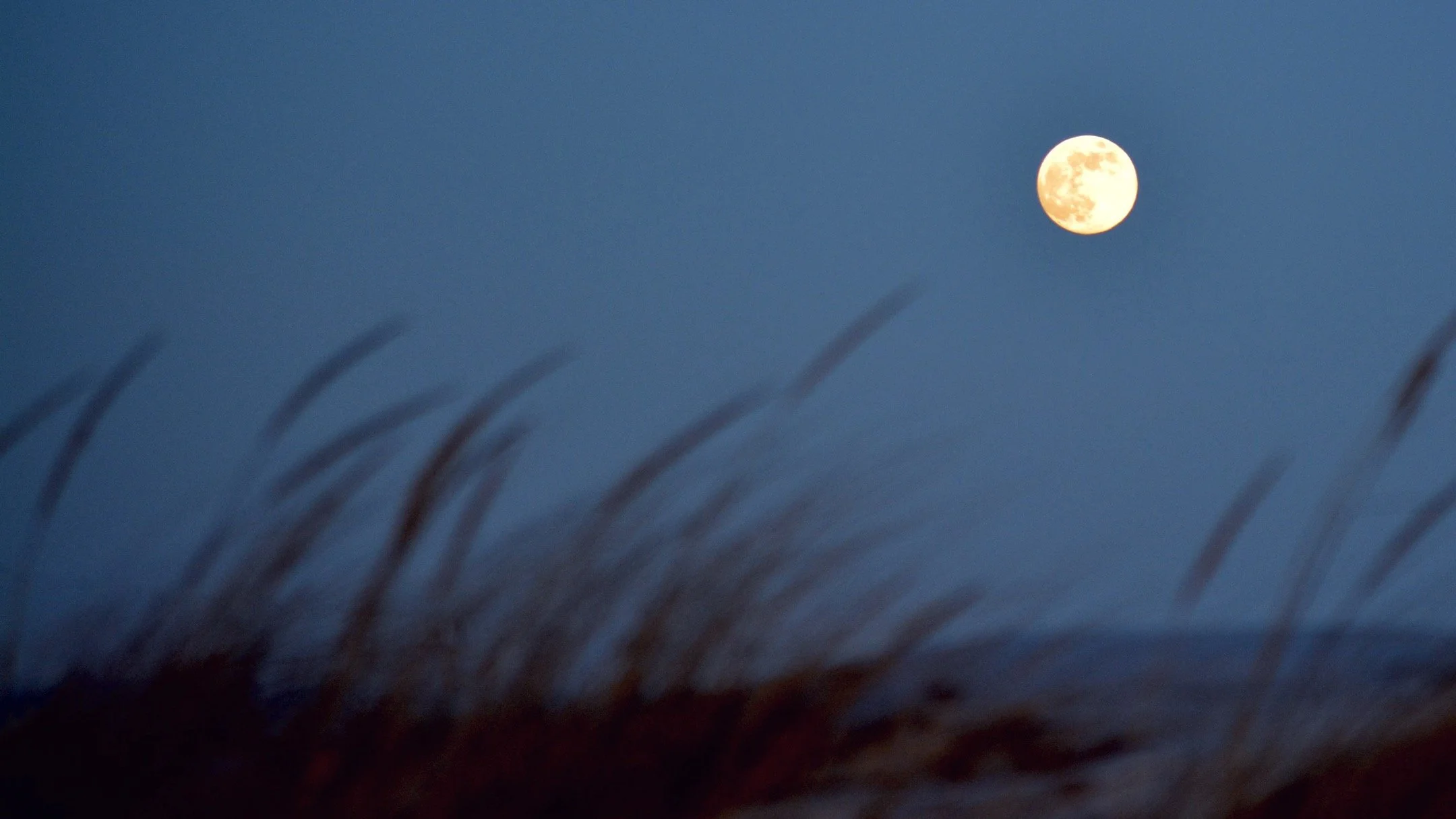 N | Moonshot | Todd Harbin | Score: 17