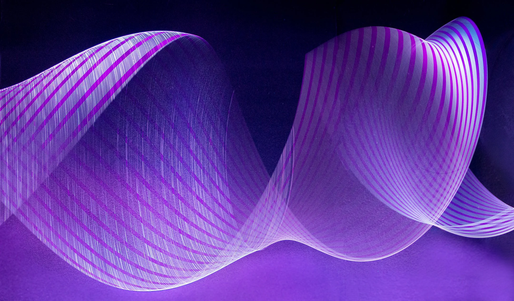 C | In Motion | Jeanne Quillan | Score: 21