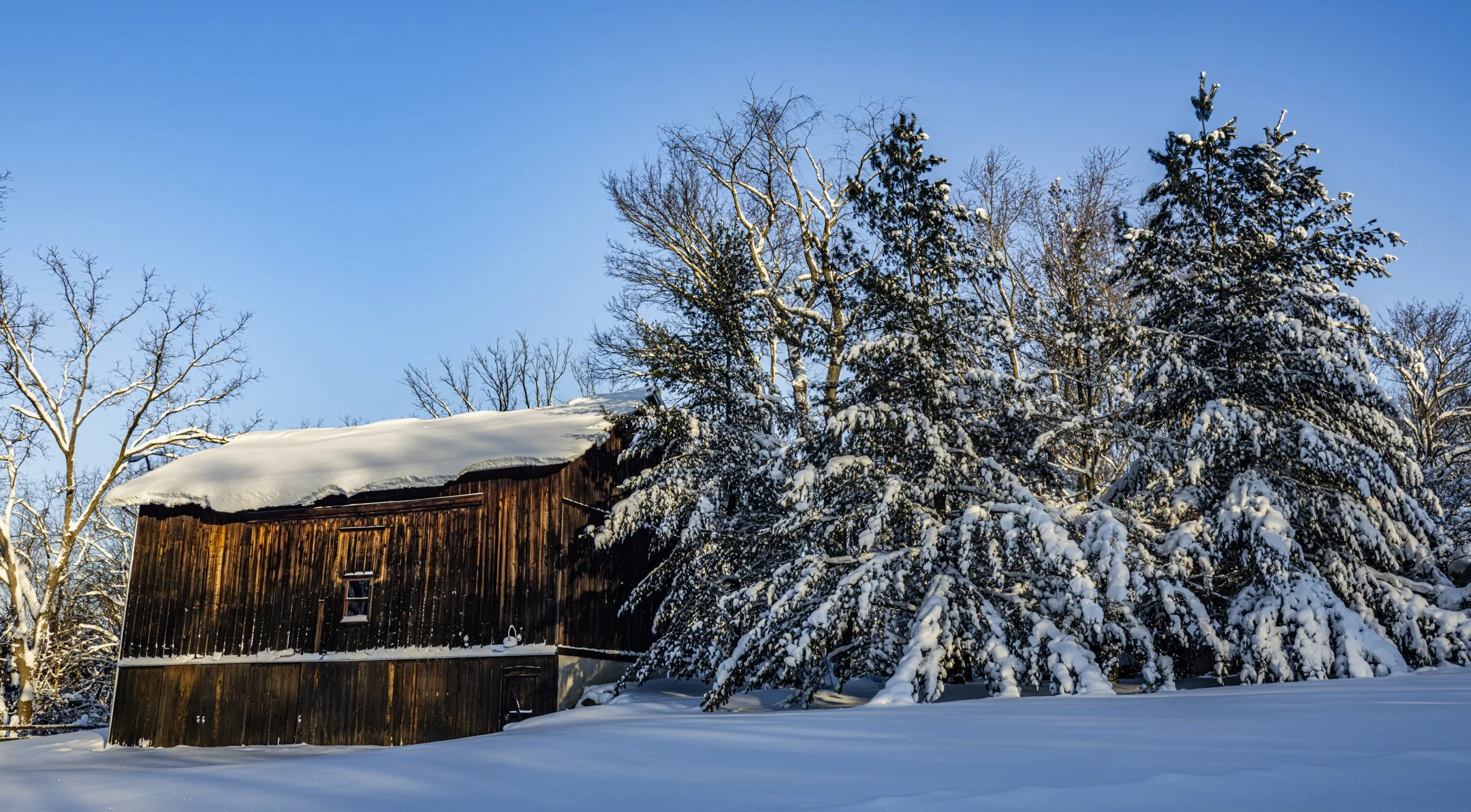 S | Winter's Glory | Dave Mitchell | Score: 16