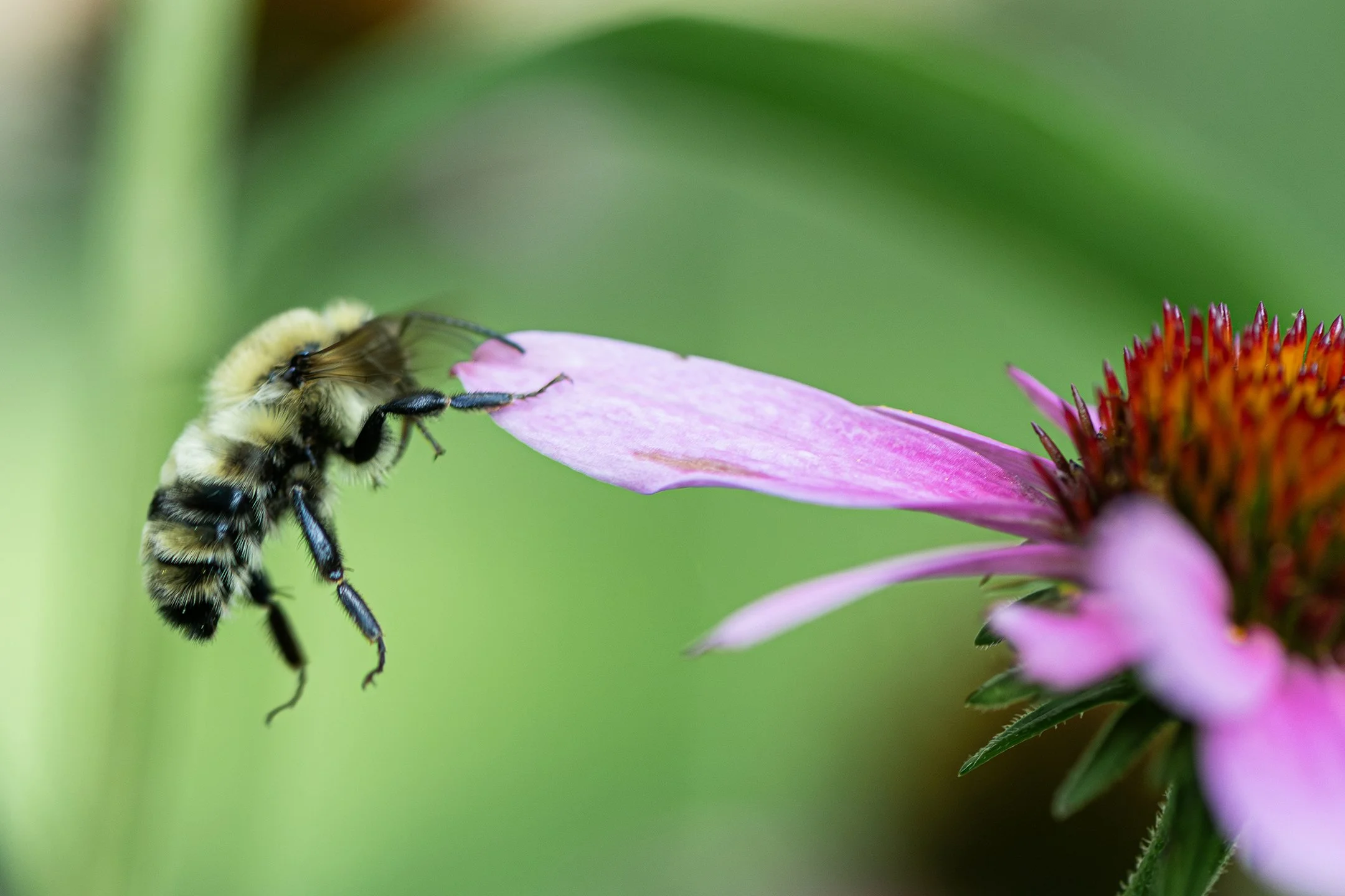 A | Almost Made It | Jack Eichner | Score: 11