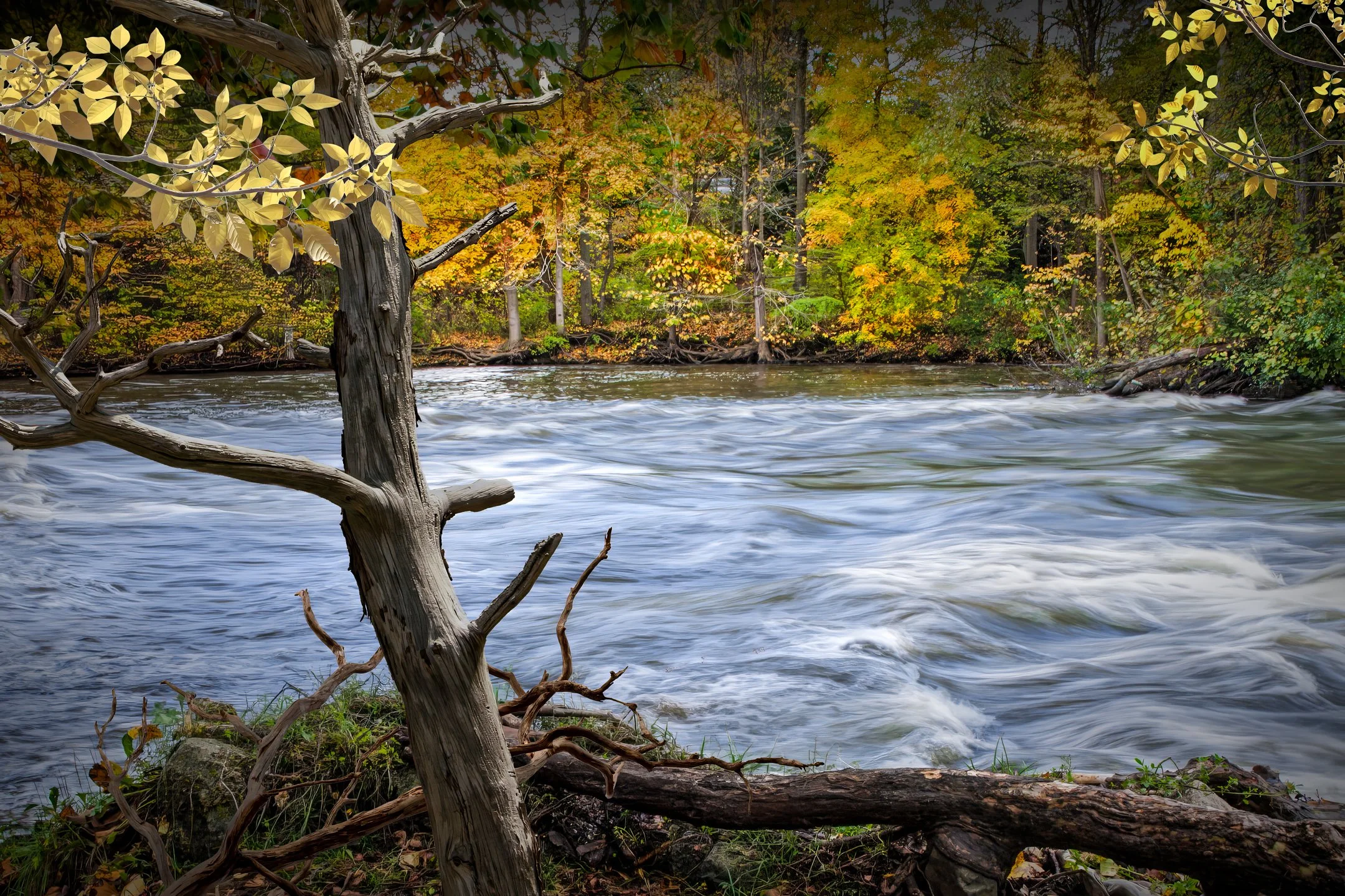 O | Watching The River Flow | Randy Nyhof | Score: 19