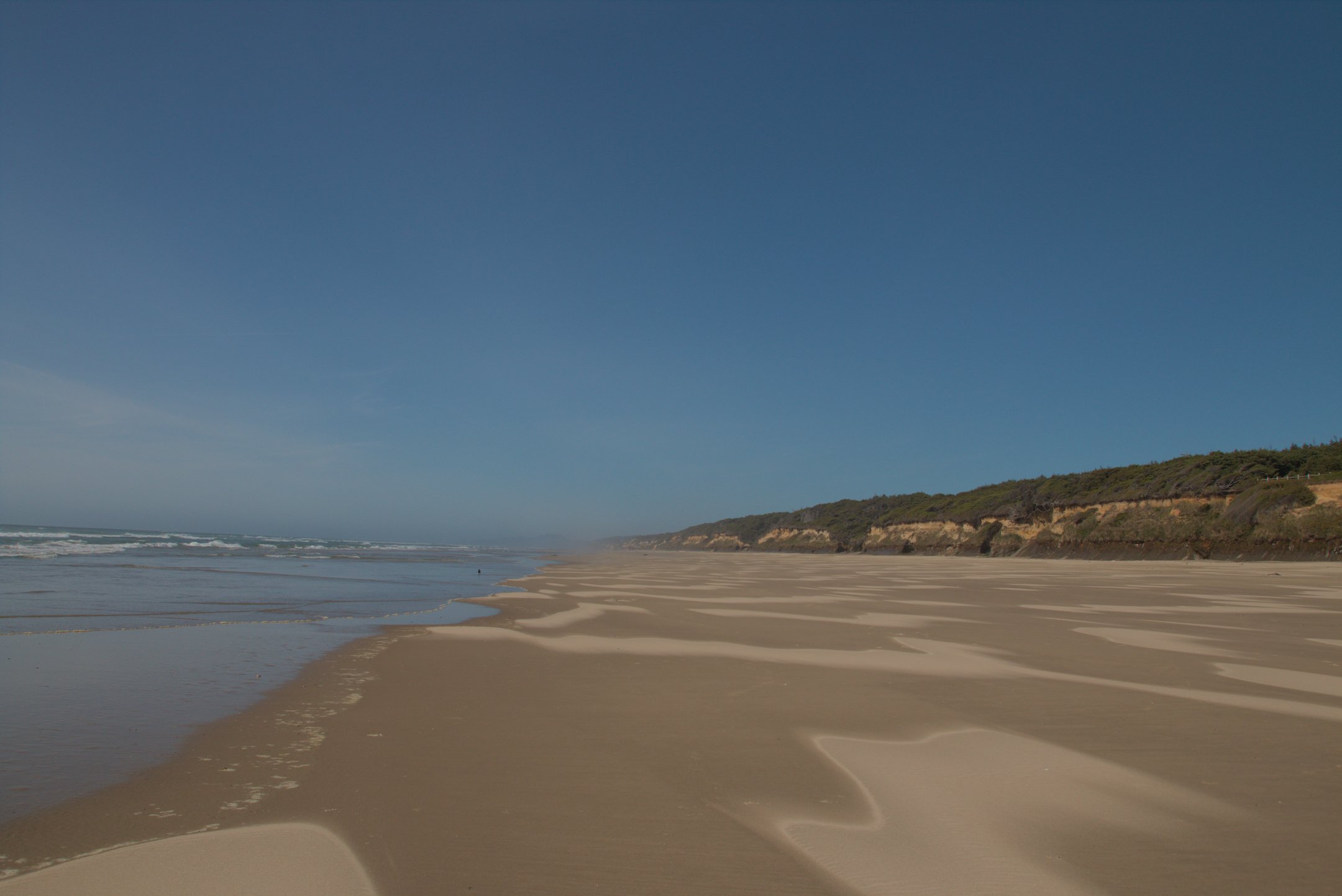 S | Pacific Coast Yay | Virginia McClellan | Score: 11
