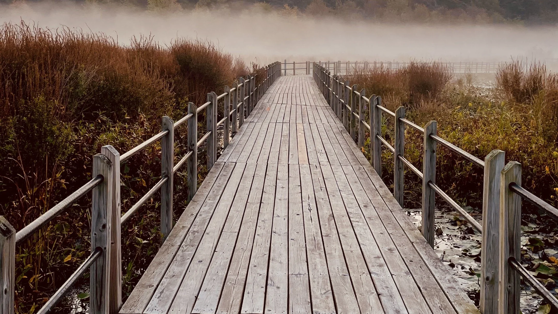 A | Into the Mist | Todd Harbin | Score: 21