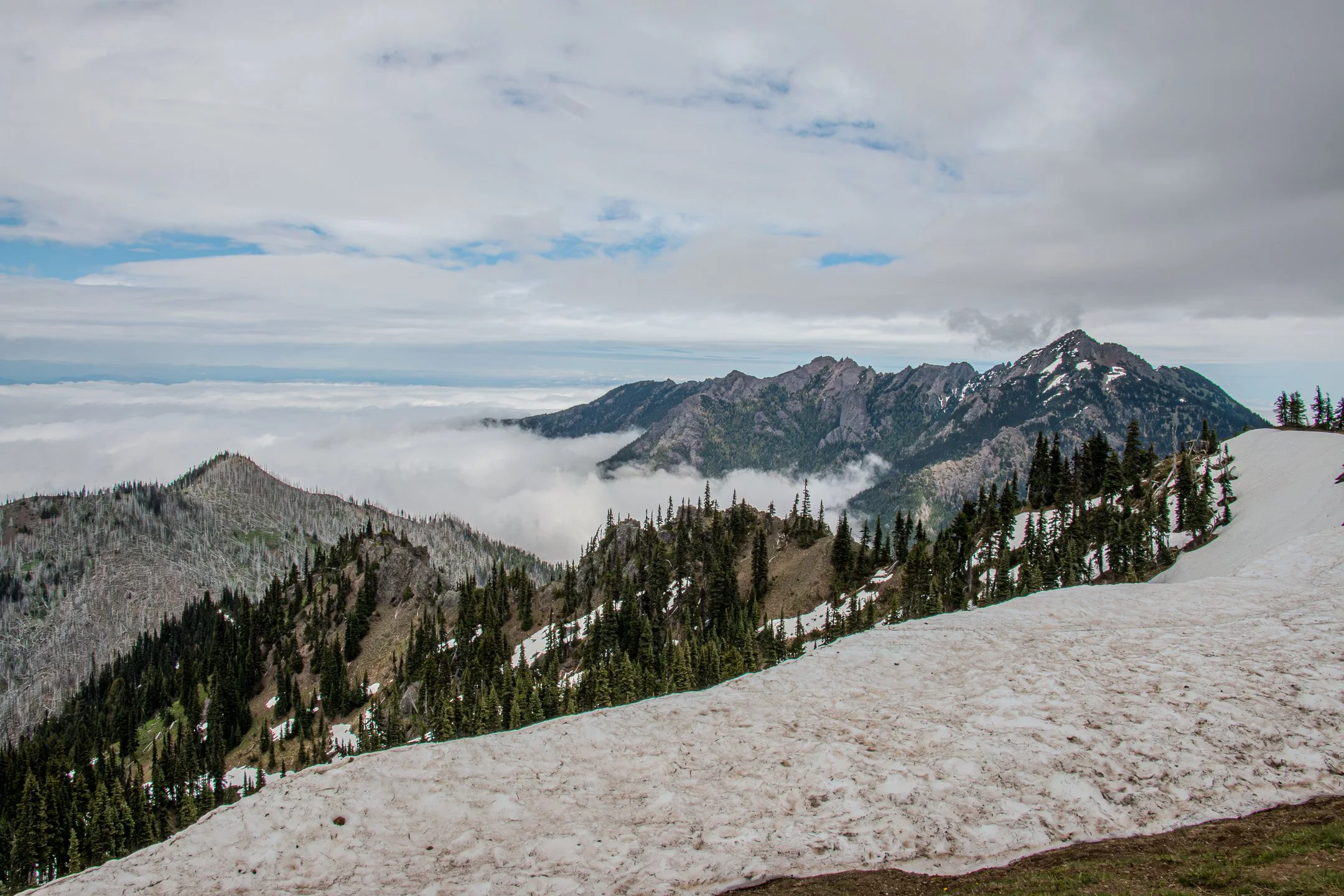S | Foggy Ridge | Kathy Kendall | Score: 18