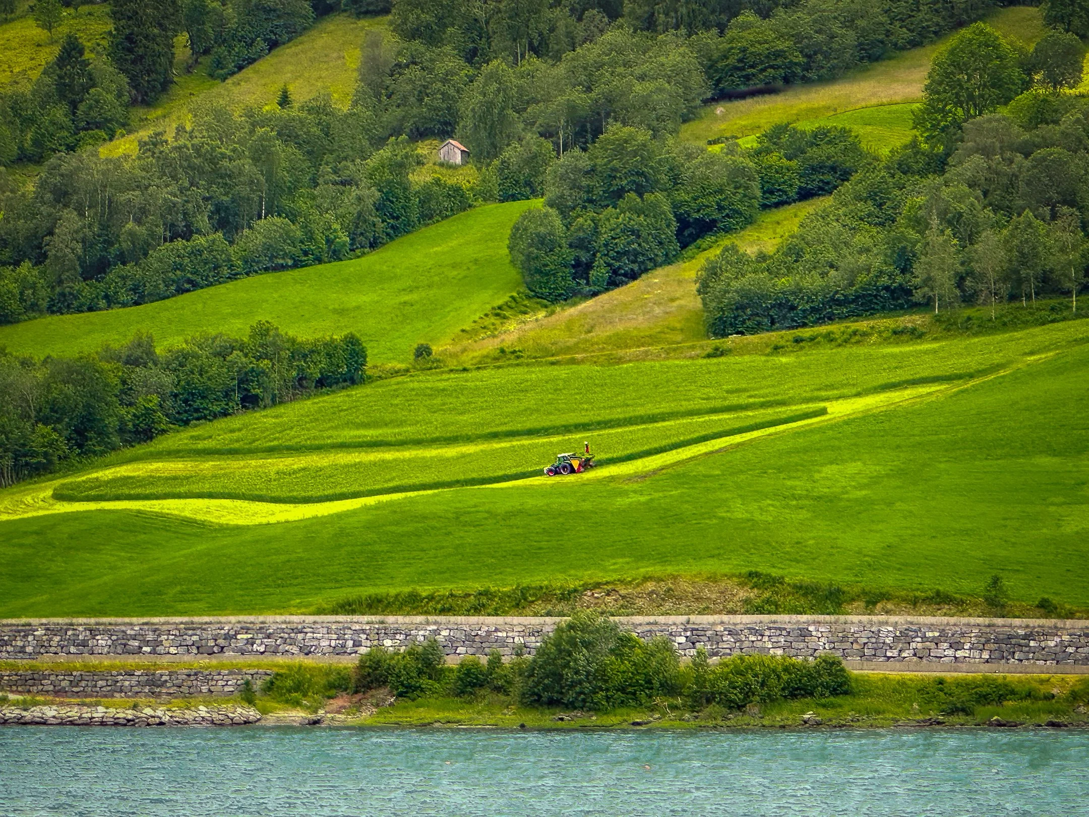O | Farming At Hillside | Steve Port | Score: 16
