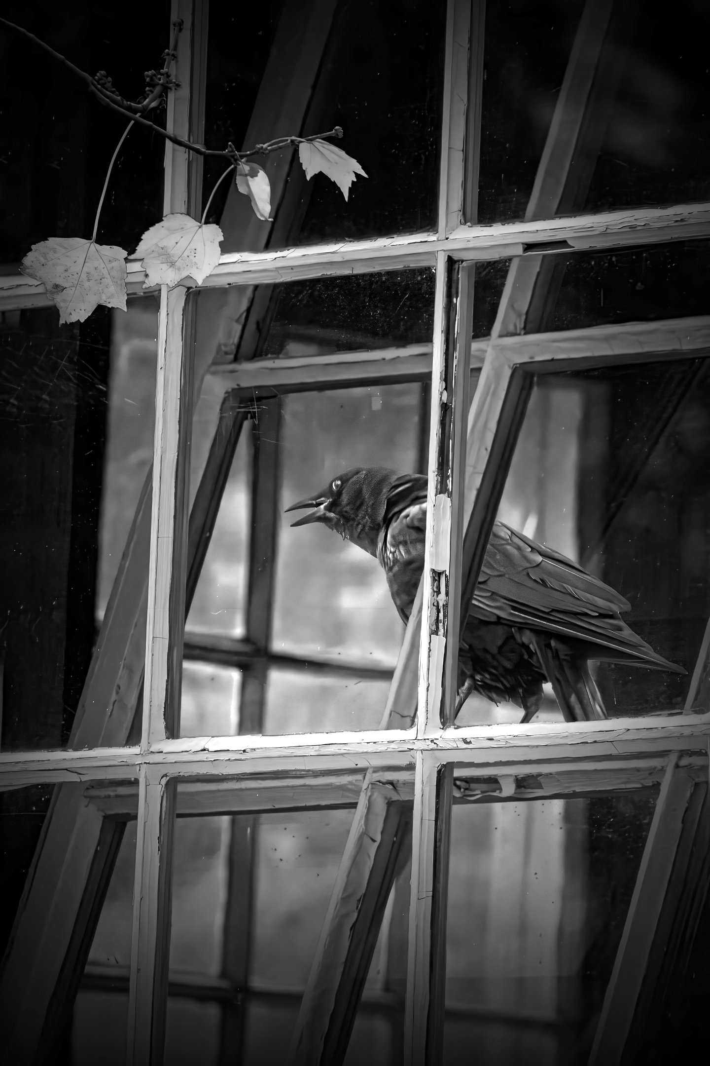 M | Window Watcher | Randy Nyhof | Score: 20