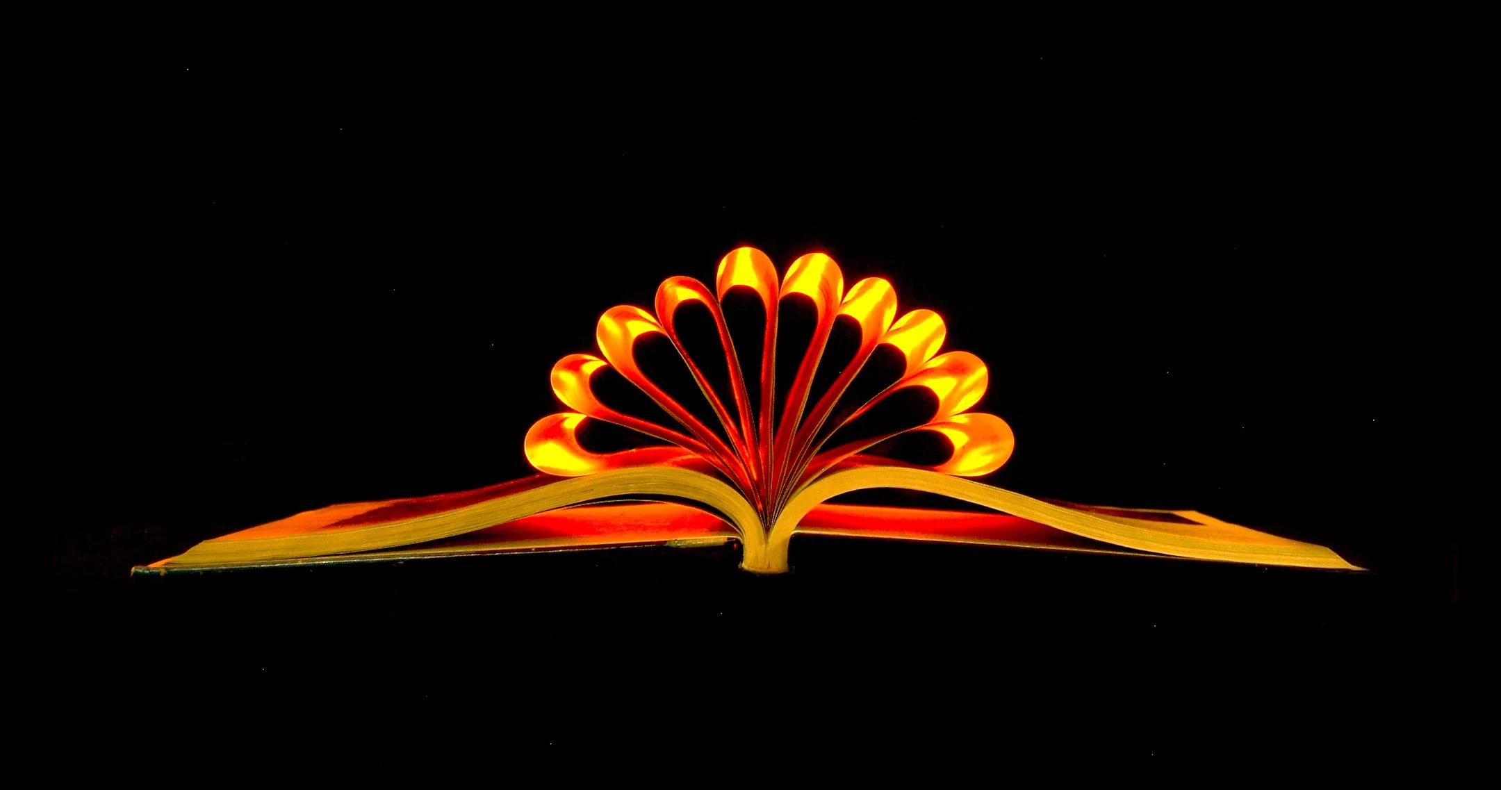 C | Revenge of the Banned Books | Allen Brooks | Score: 18