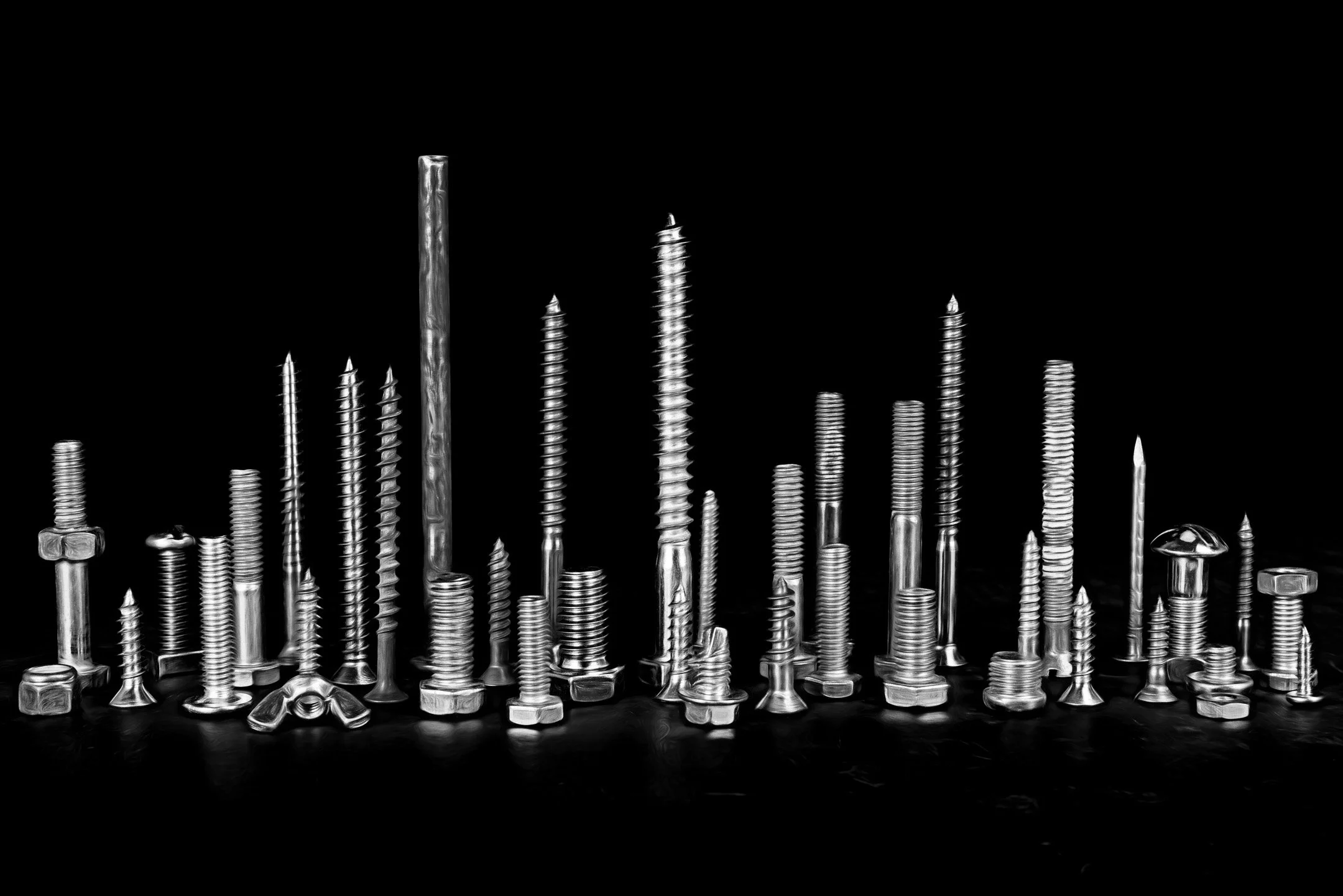 M | We Are Screwed | Jan Lewis | Score: 14