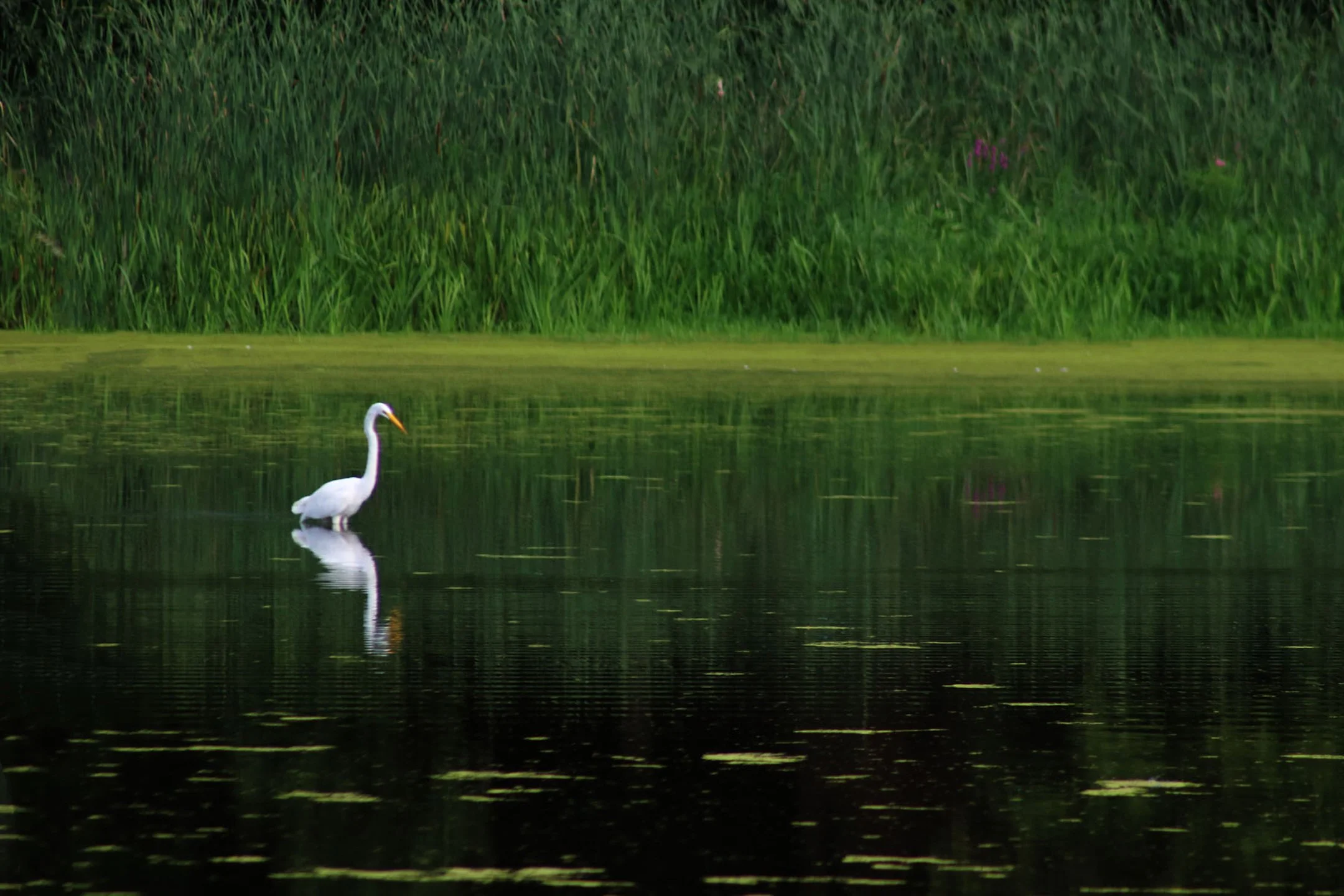 A | Hunting | Michelle Premer | Score: 16