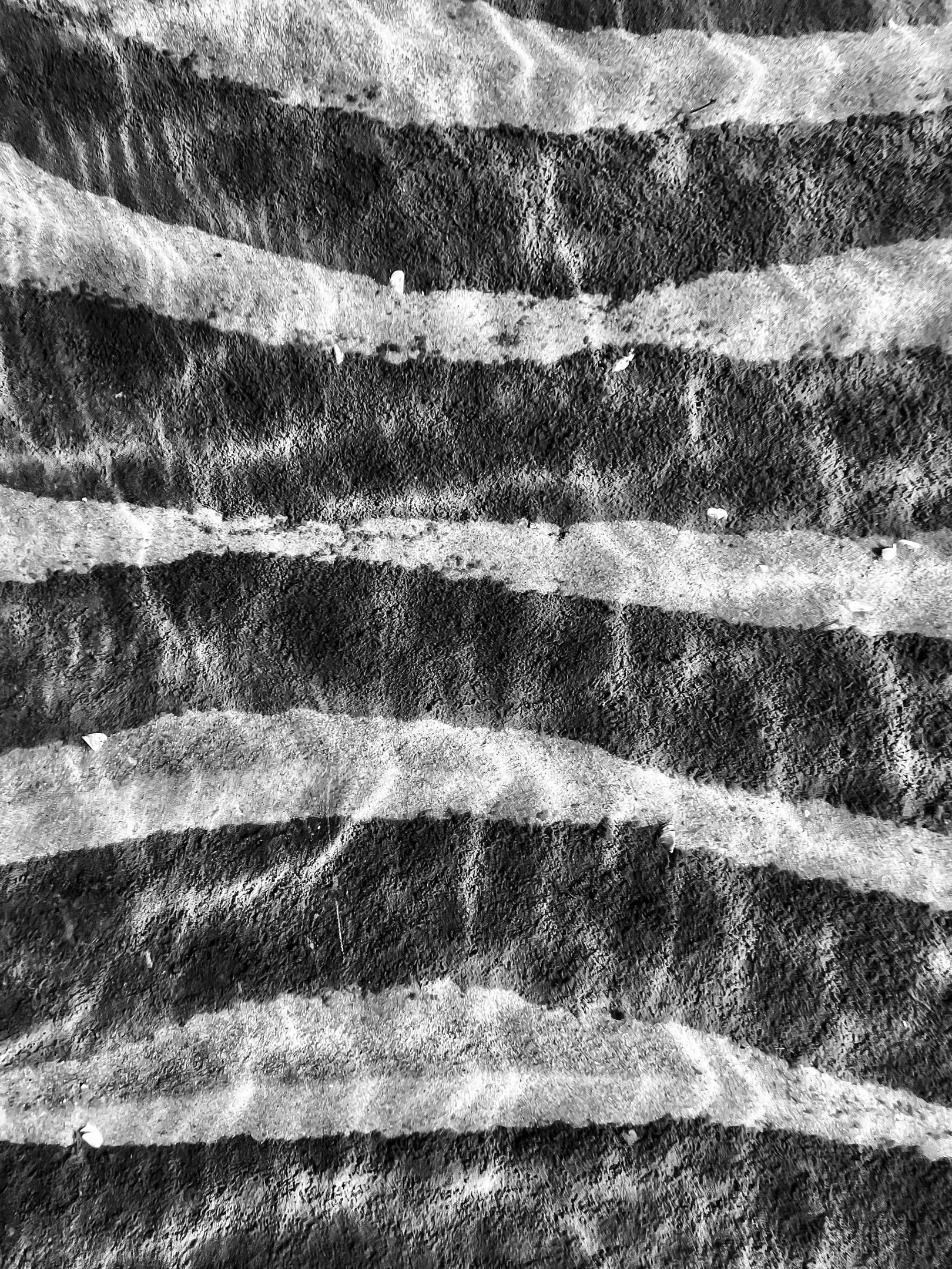 A | Sediment Lake Michigan | Lori Ryskamp | Score: 11