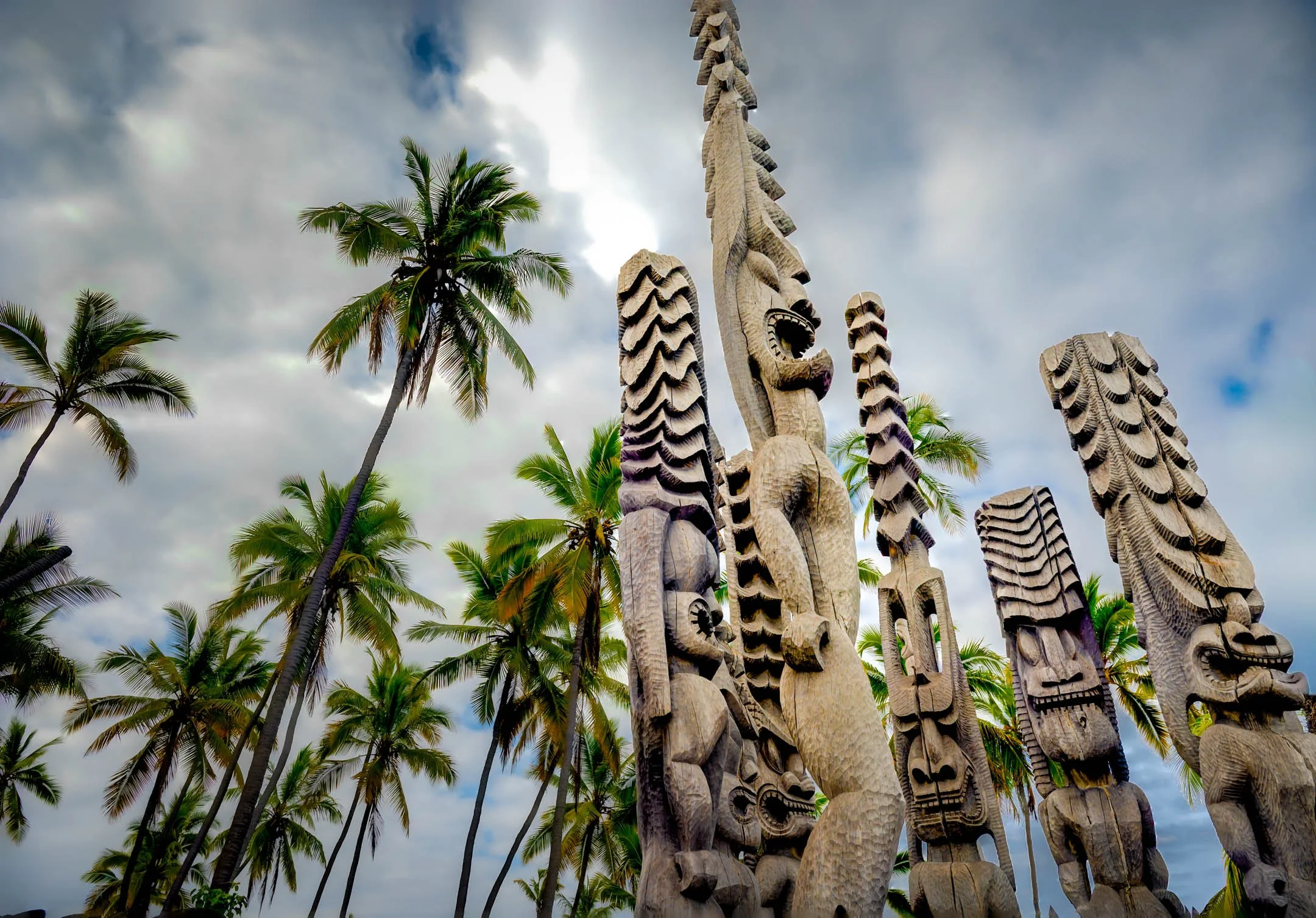 O | Reach for the Sky | Gary Kirfman | Score: 19