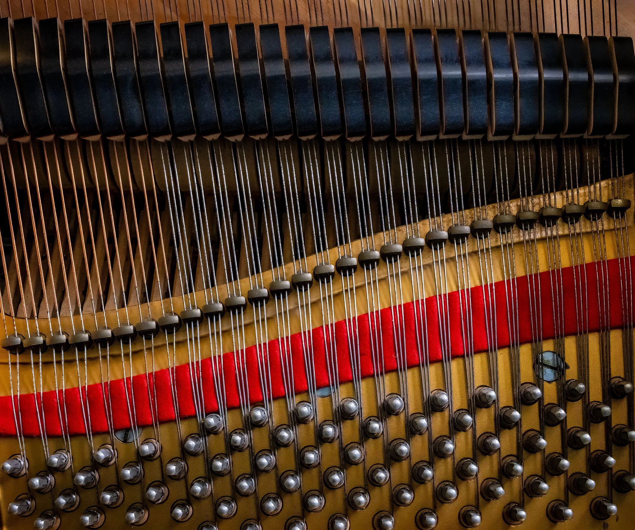 O | Piano Strings And Hammers | Shealyn McGee-Sarns | Score: 24