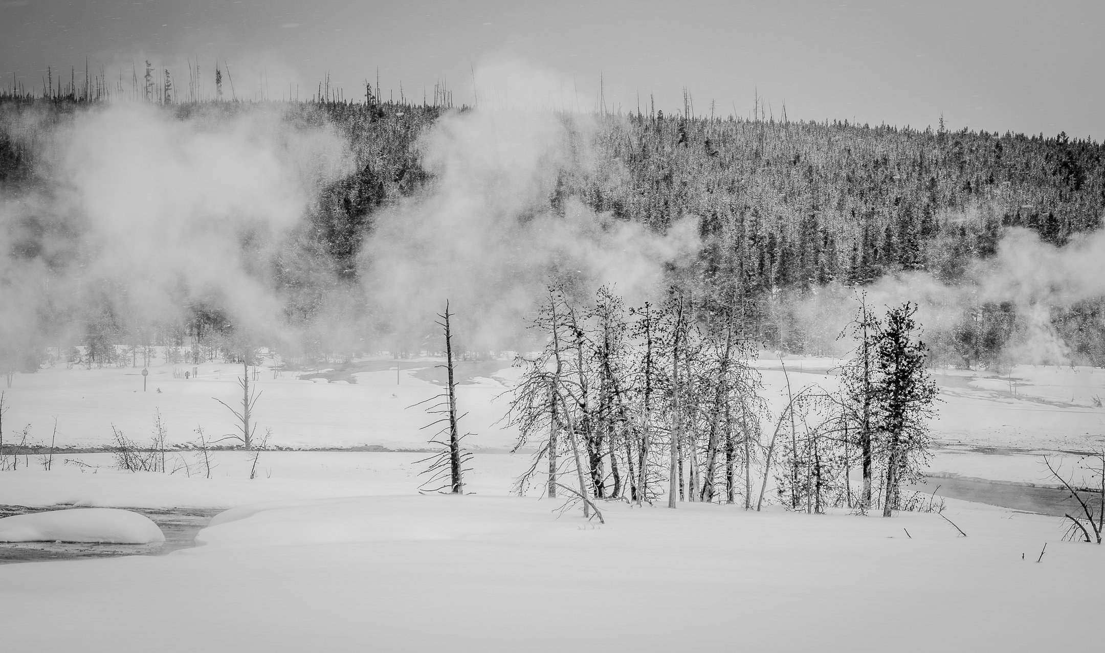 M | Yellowstone | Kathy Kendall | Score: 18
