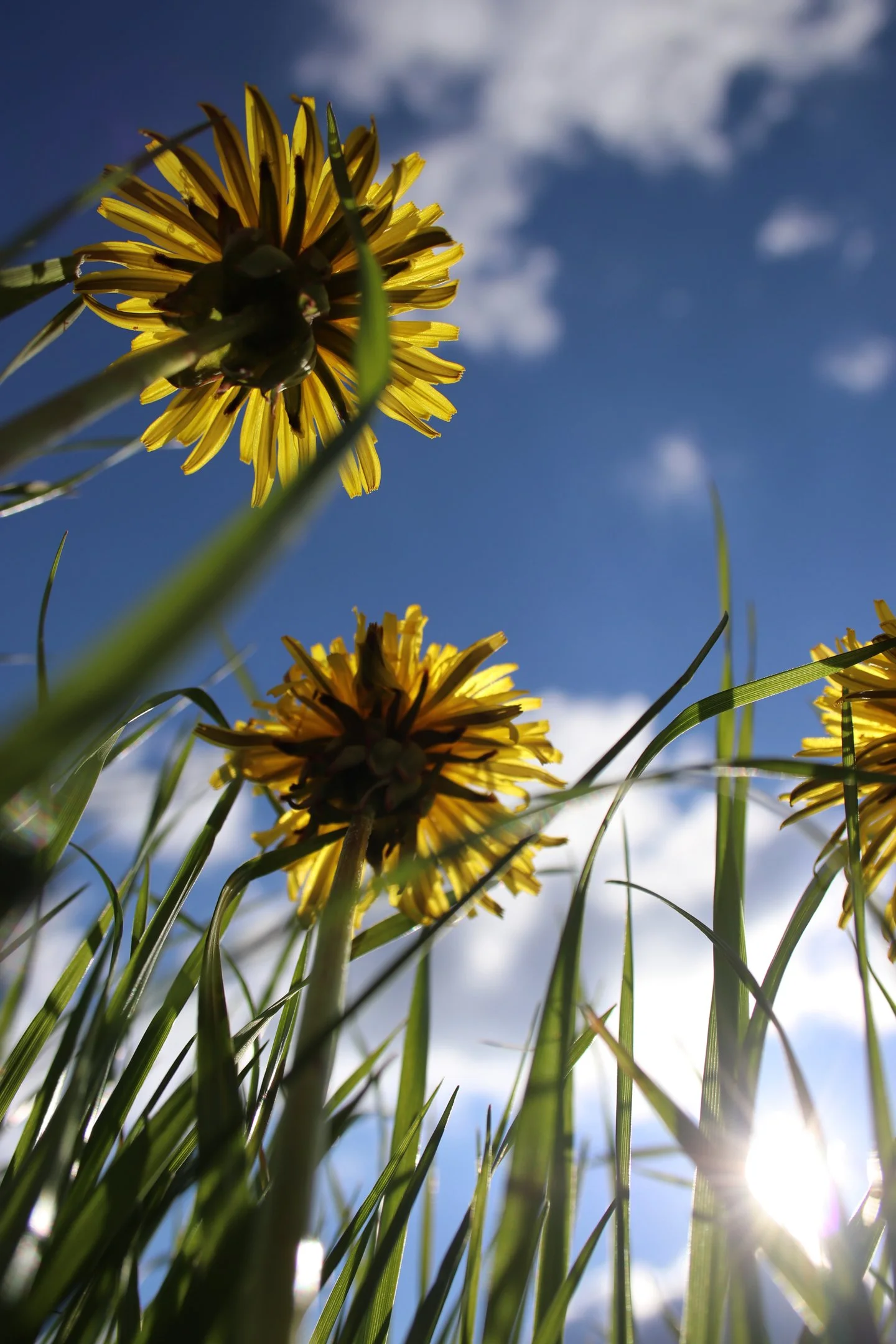 N | Looking Up | Michelle Premer | Score: 16