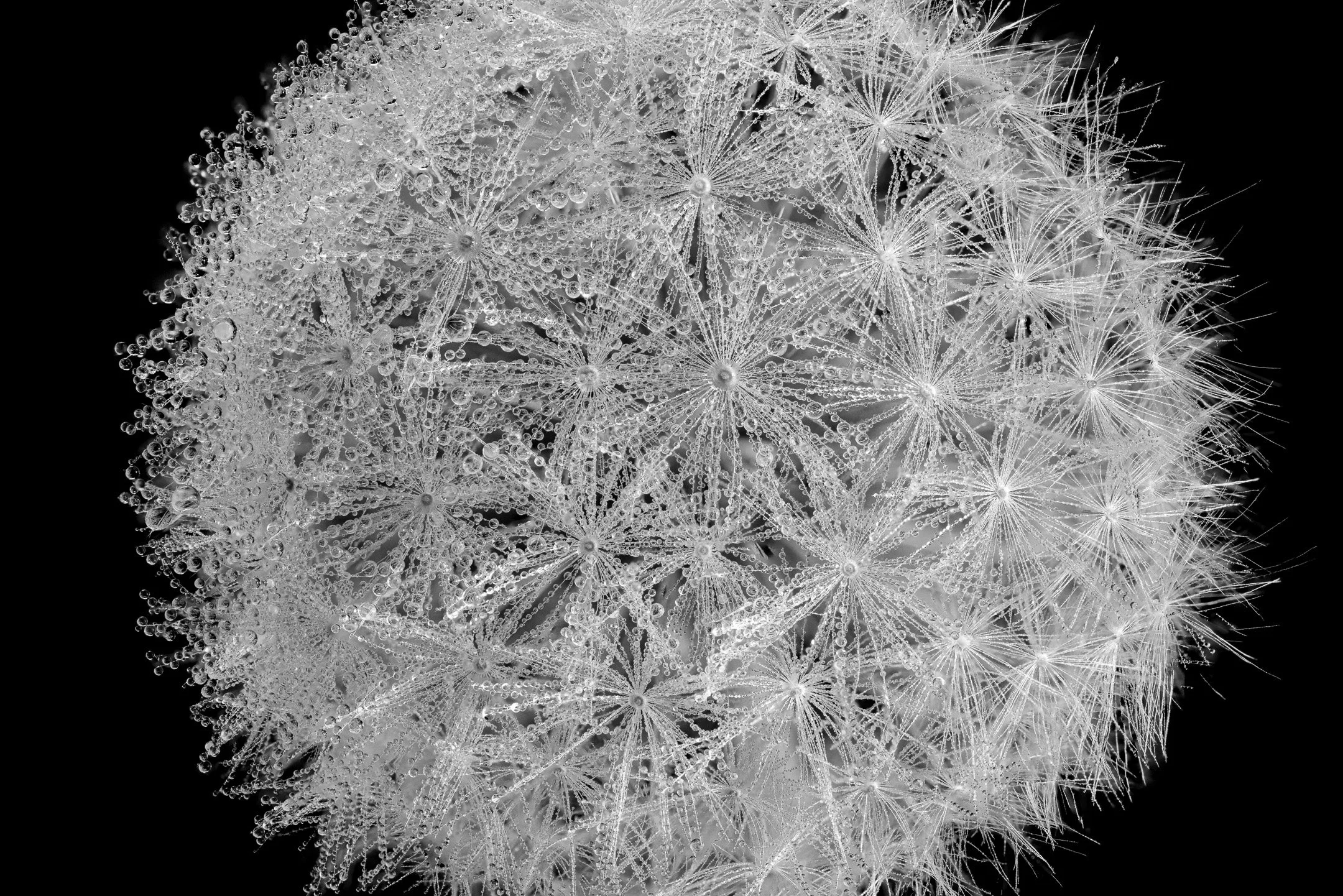 M | Details | Jan Lewis | Score: 22