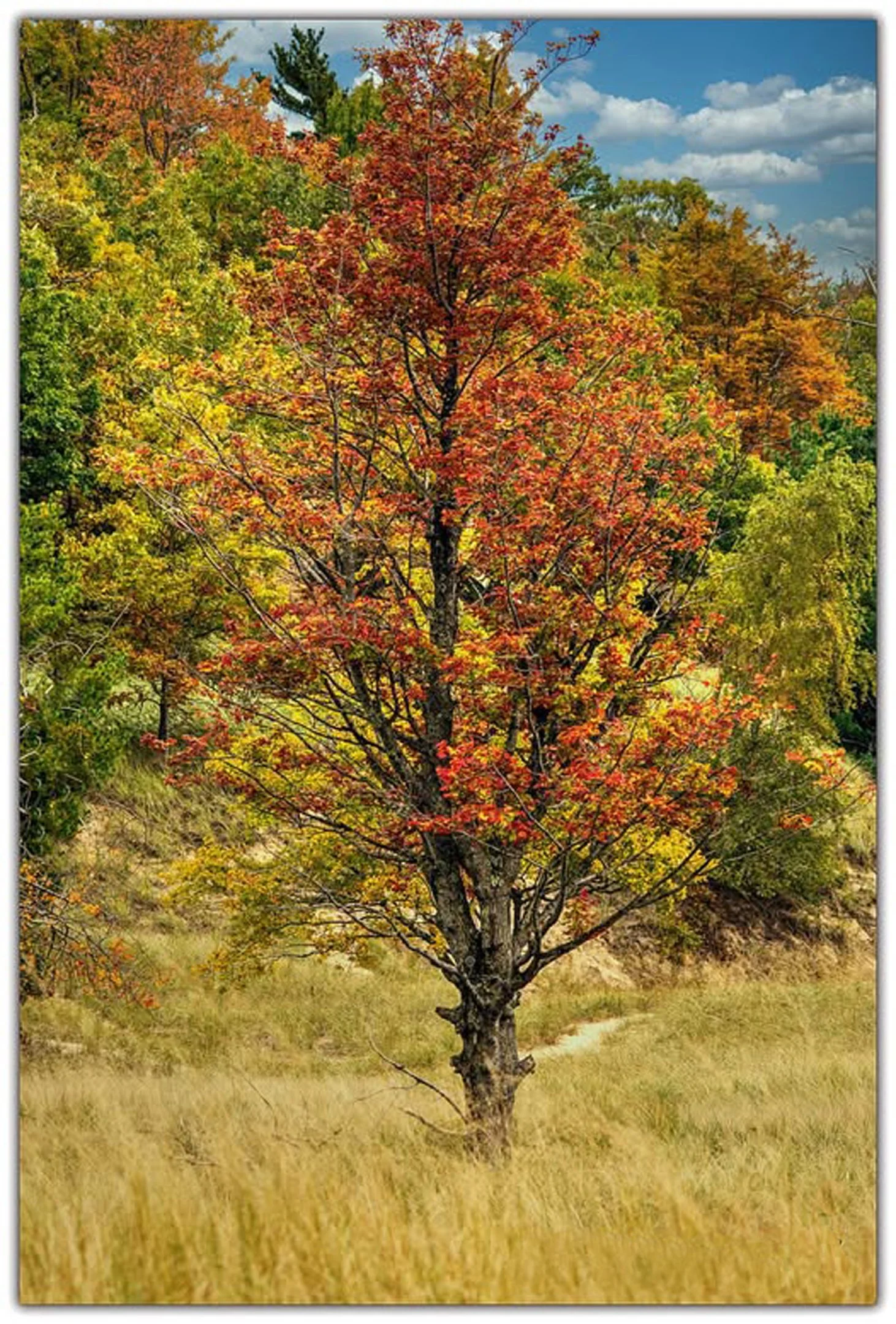 N | To The Beach | Richard Coombs | Score: 17