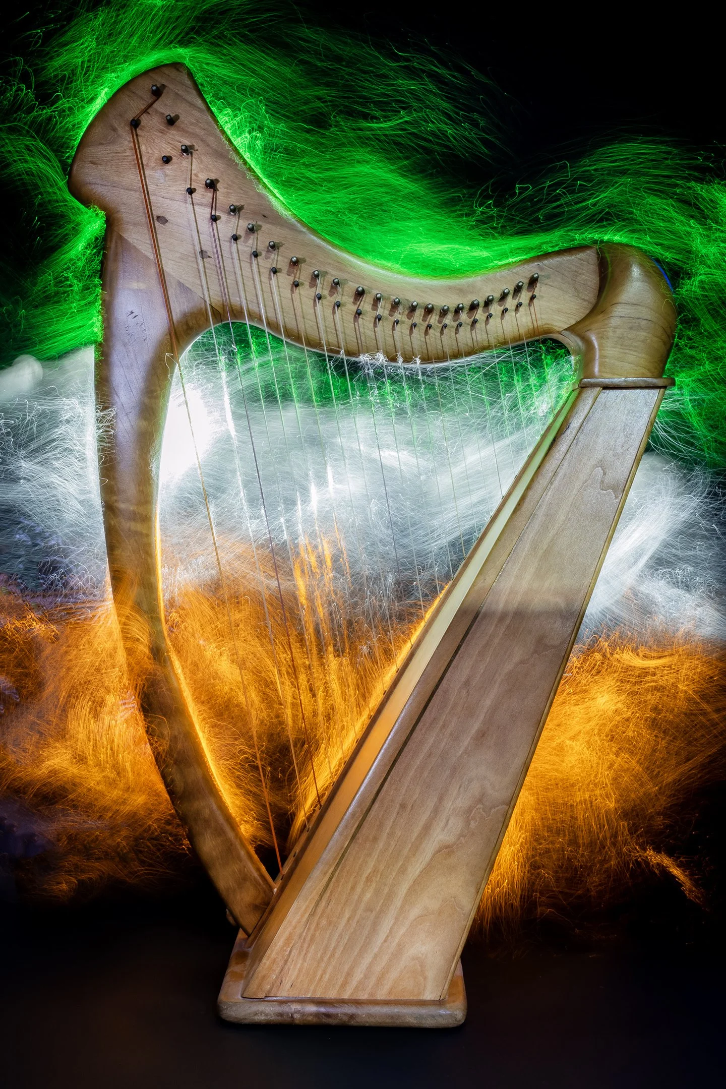 C | Irish Harp | Shealyn McGee-Sarns | Score: 20
