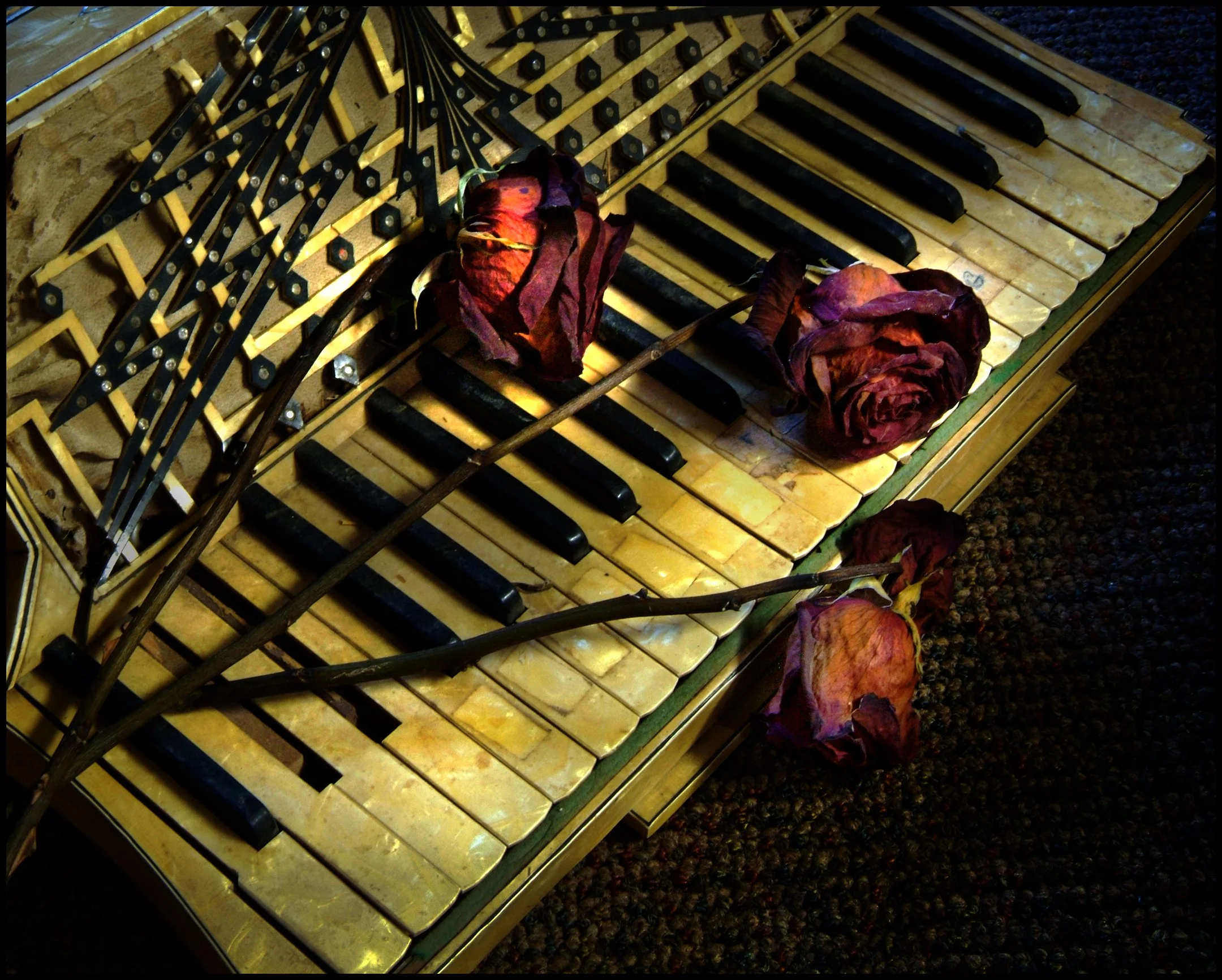 O | The Night The Polka Died | Allen Brooks | Score: 13