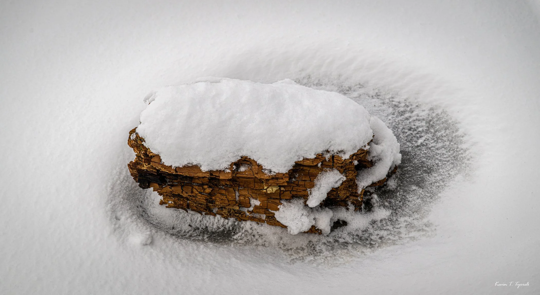 A | Winter's Grip | Kevin Tyrrell | Score: 16