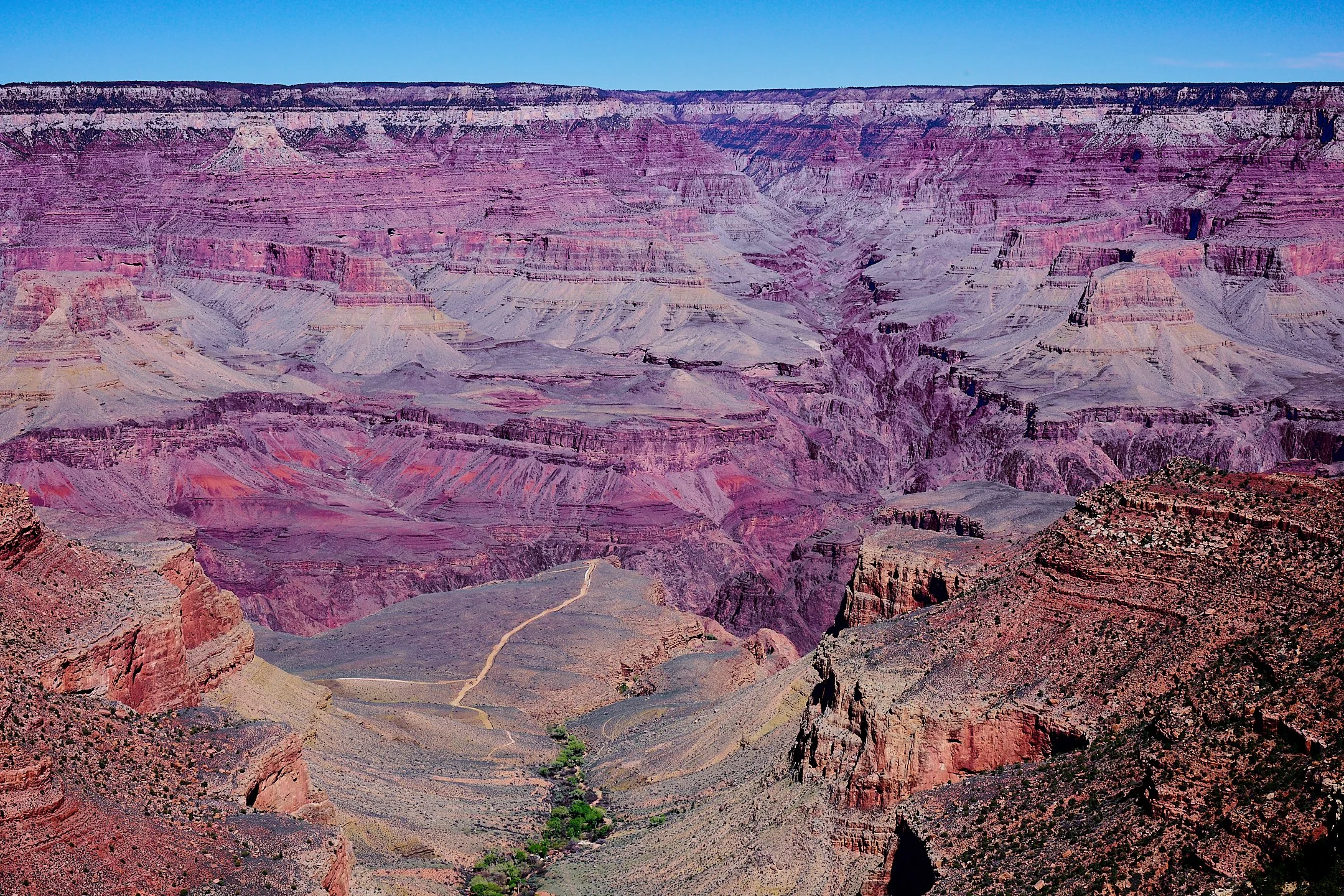 S | Grand Canyon | James Zeman | Score: 17