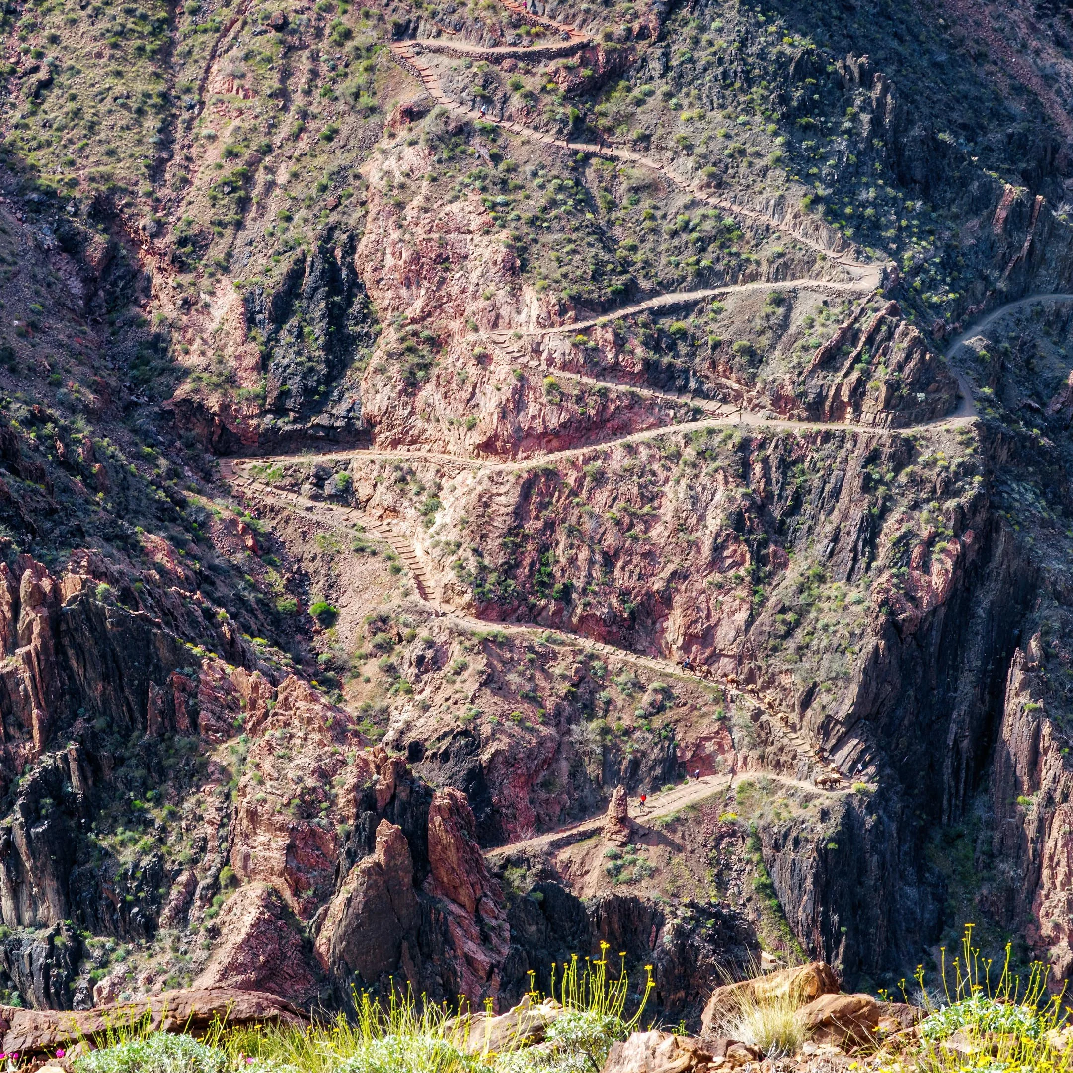 A | Seven Miles Going Up | Mike Bergeon | Score: 15