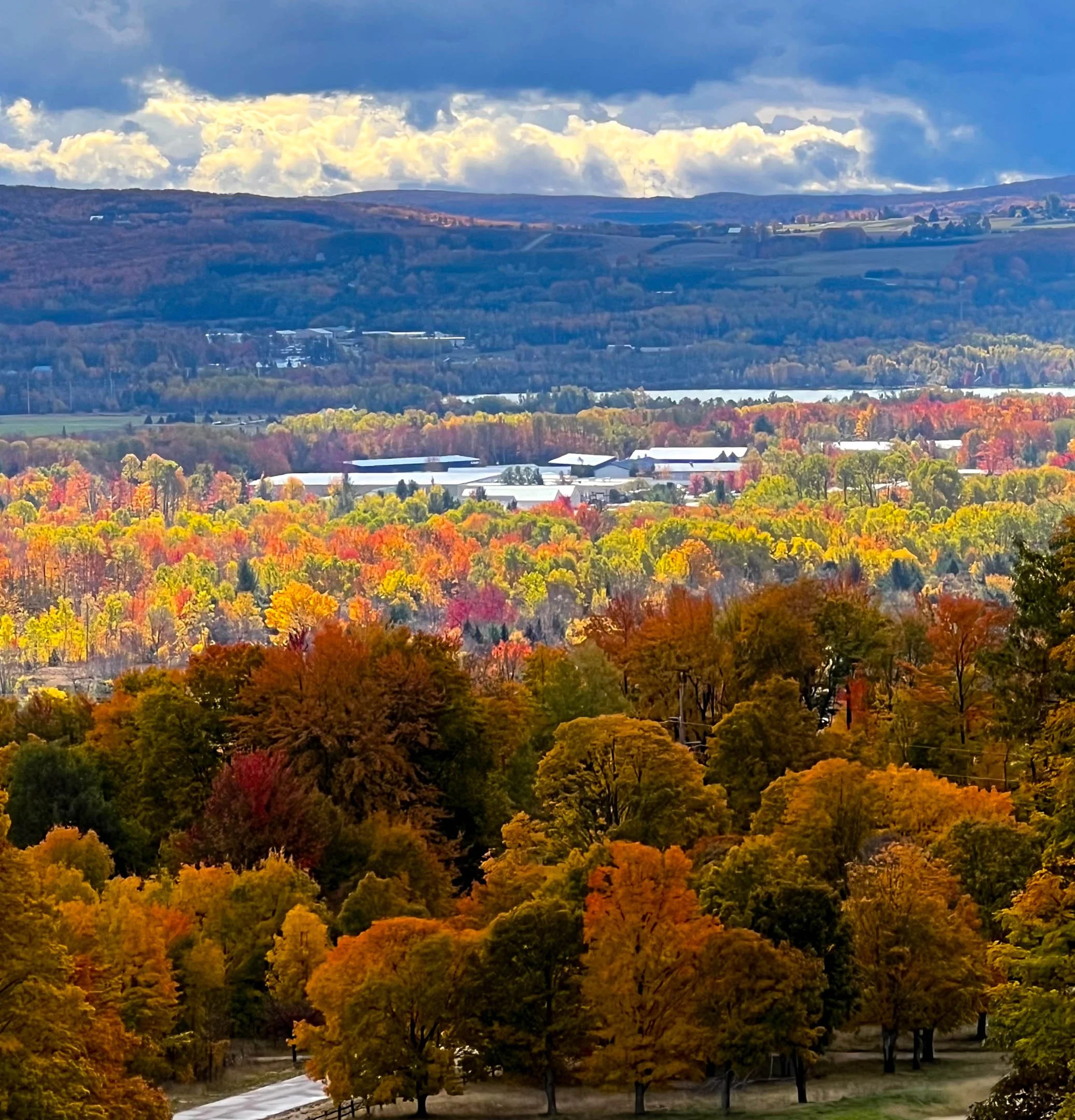 S | Petoskey Autumn | Sandy Freed | Score: 18