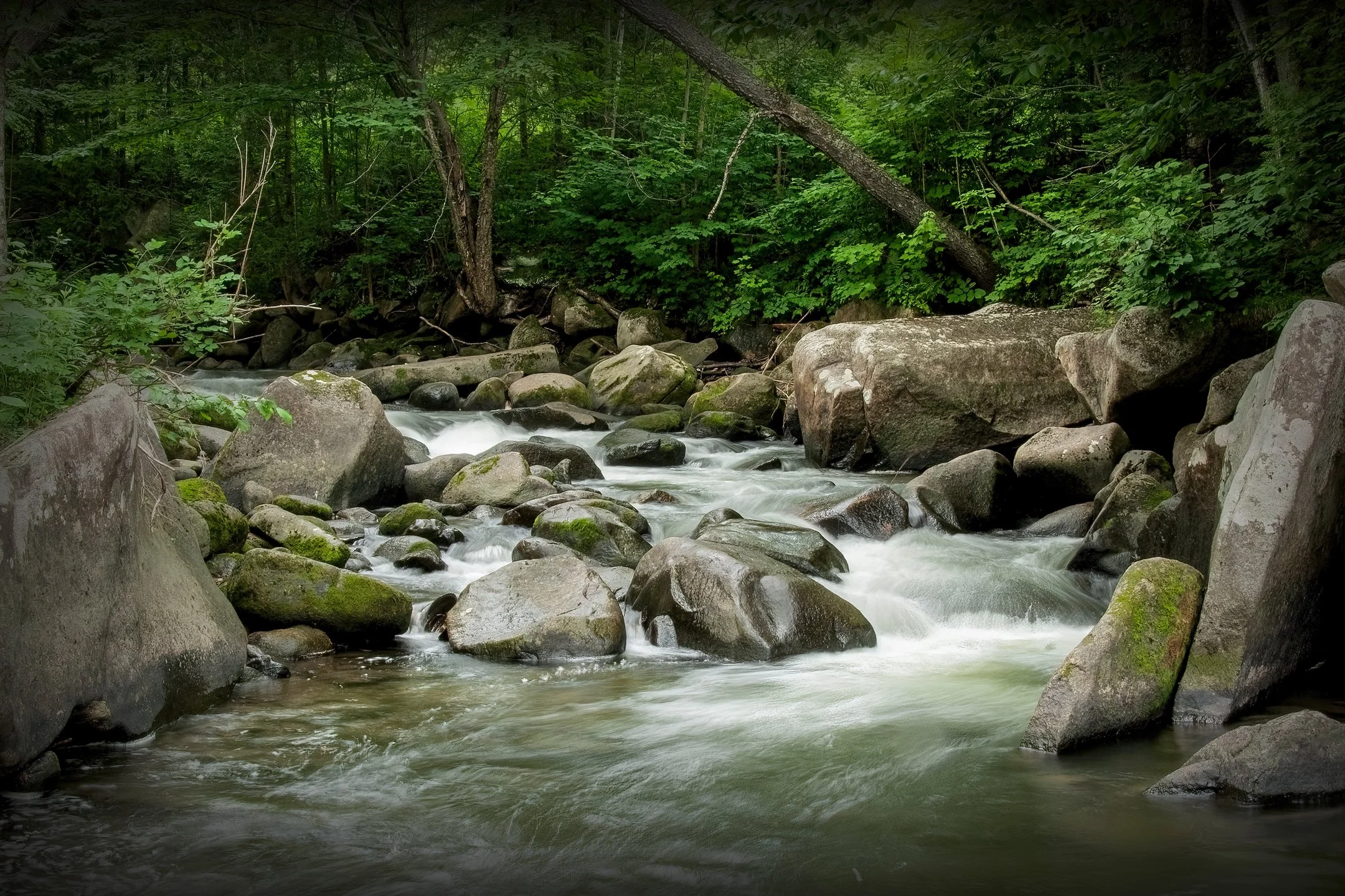 S | Vermont Stream | Randy Nyhof | Score: 21