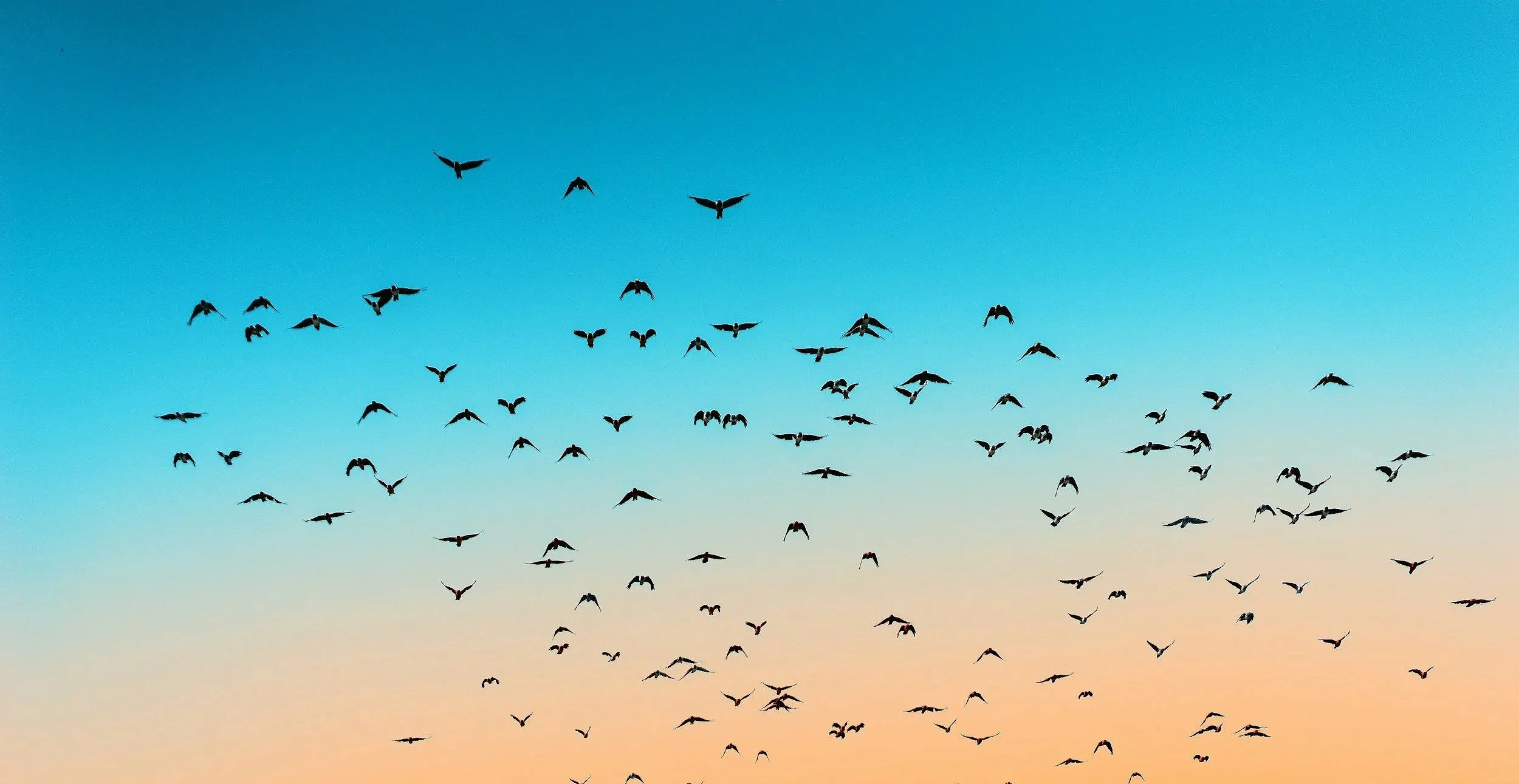 AI Transformation Is a Trust Test Disguised as a Technology Project