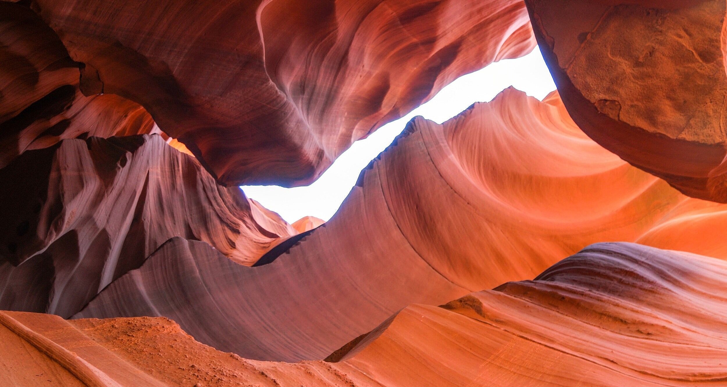 Executive Coaching Bay Area