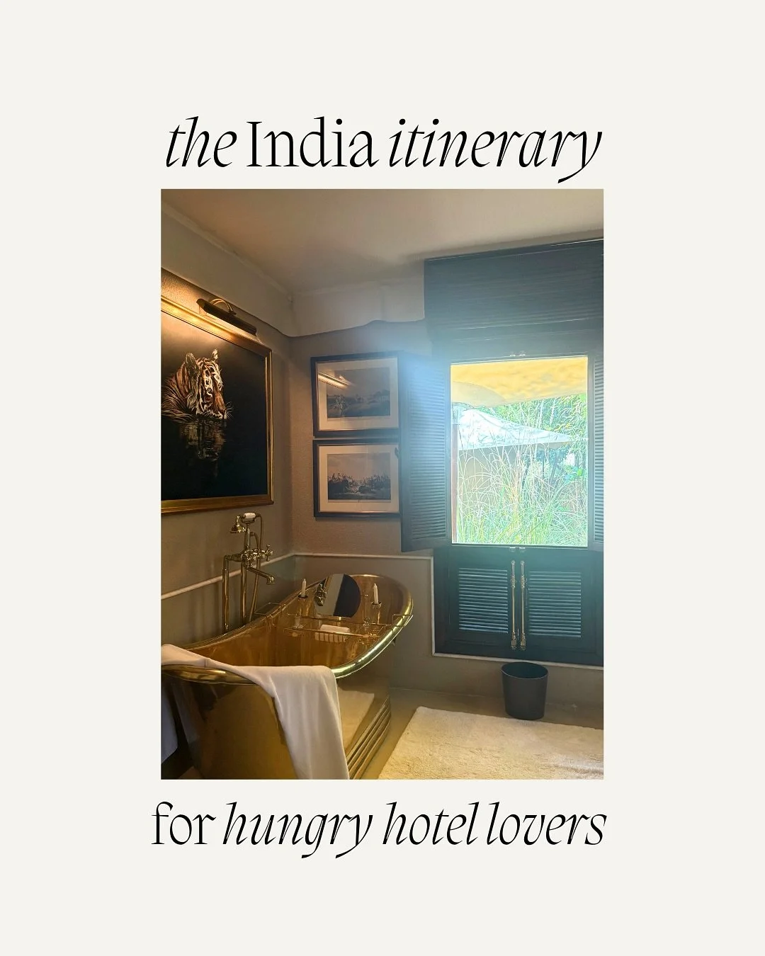 India is a not-so-obvious or understood luxury destination to travel. If you are motivated by hotels, food, architecture, and bit of the unknown - 💌 let's talk India ! 

this is perfect for 8-10 days of travel but we could always add in Mumbai, Goa,