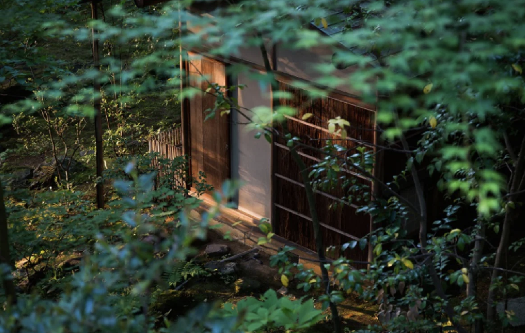 Screenshot 2024-06-24 at 11.33.46 AM.png