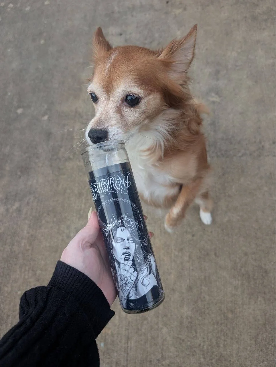 photo_2026-01-12_18-23-33 (2).jpg