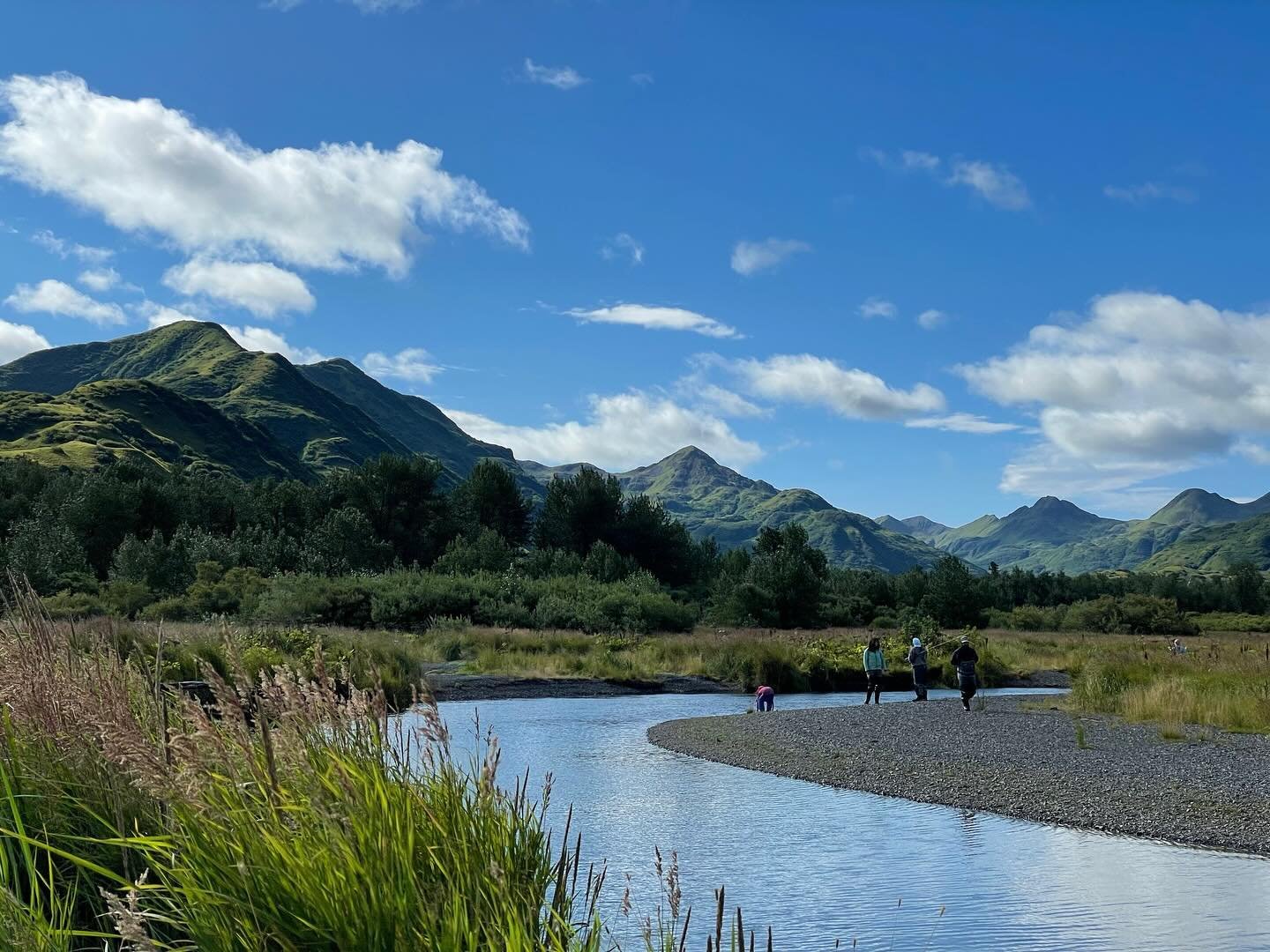 Cast away your worries and reel in unforgettable memories at Kodiak Wilderness Lodge! 🎣 

What sets us apart from all the others? KWL offers endless access to both saltwater and fly fishing adventures, ensuring every guest finds their perfect catch.